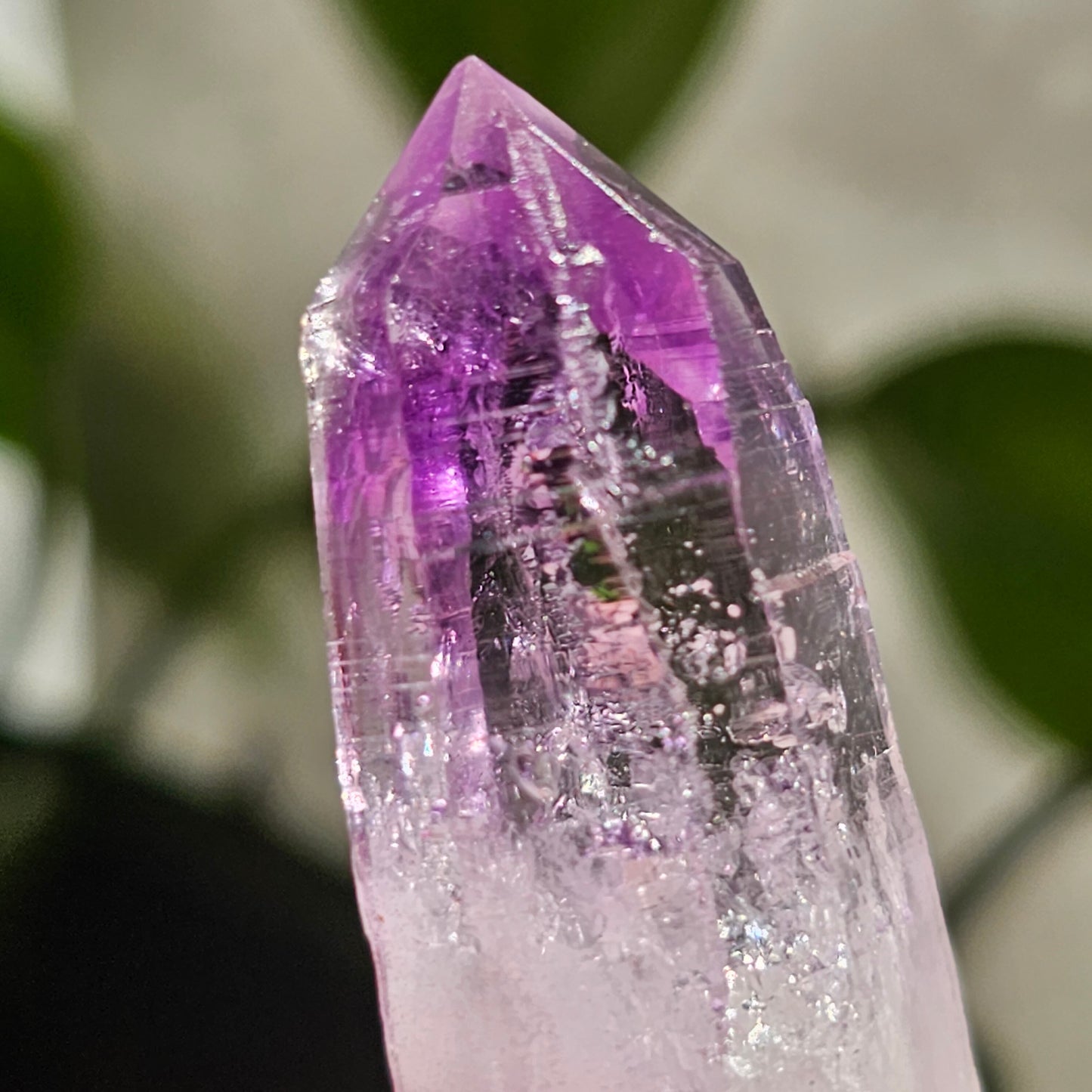 AAA Vera Cruz Amethyst Crystal, Rare Raw High Grade Phantom Specimen, from Mexico | 13.1g Terminated Saturated Piece, February Gift