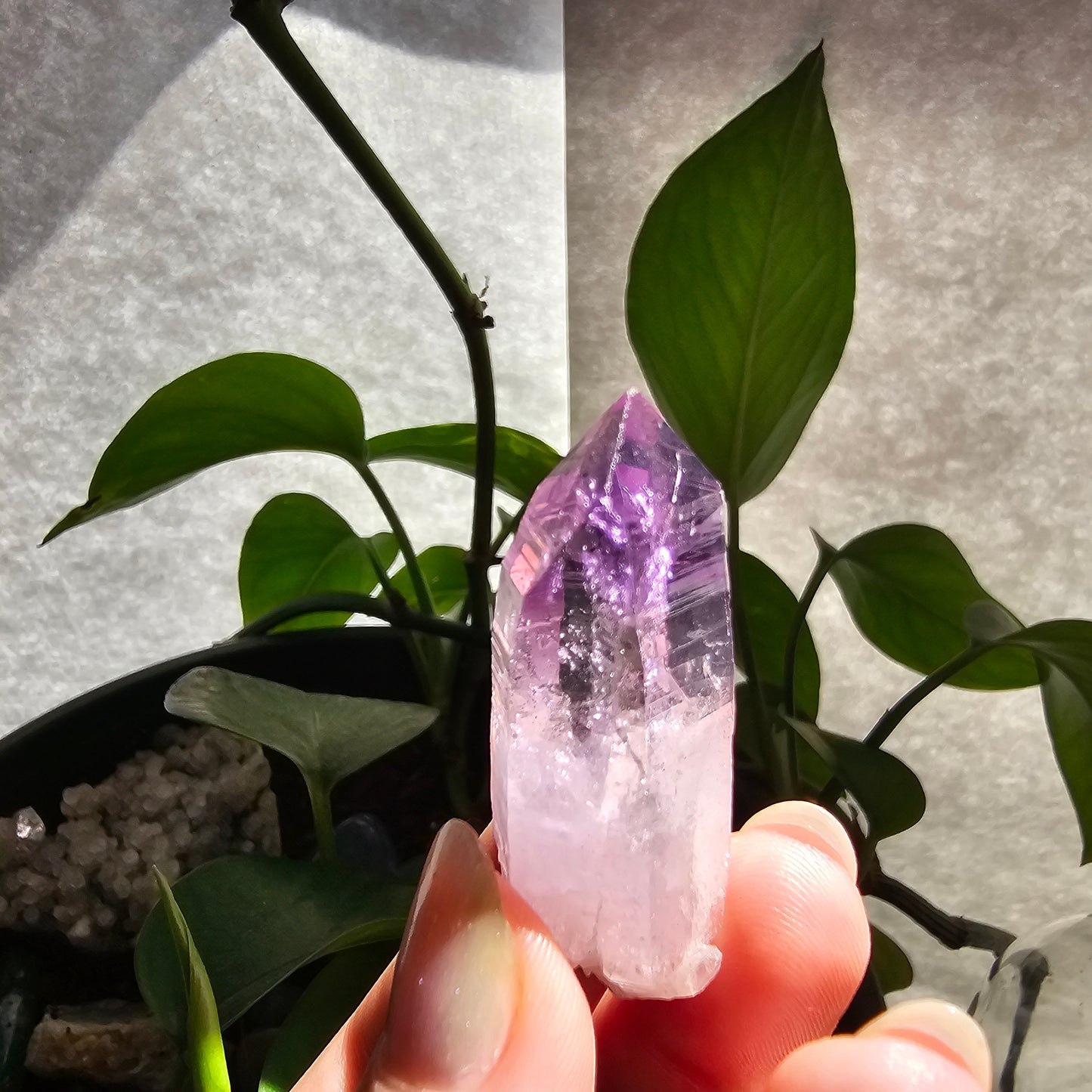 AAA Vera Cruz Amethyst Crystal, Rare Raw High Grade Phantom Specimen, from Mexico | 13.1g Terminated Saturated Piece, February Gift