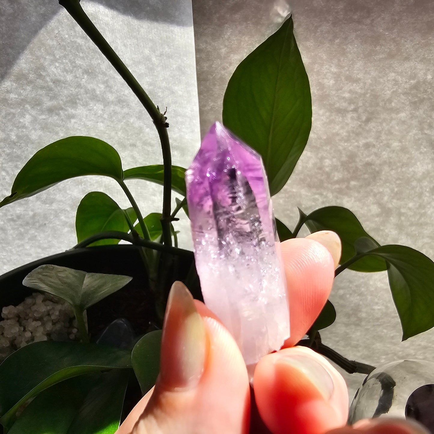 AAA Vera Cruz Amethyst Crystal, Rare Raw High Grade Phantom Specimen, from Mexico | 13.1g Terminated Saturated Piece, February Gift
