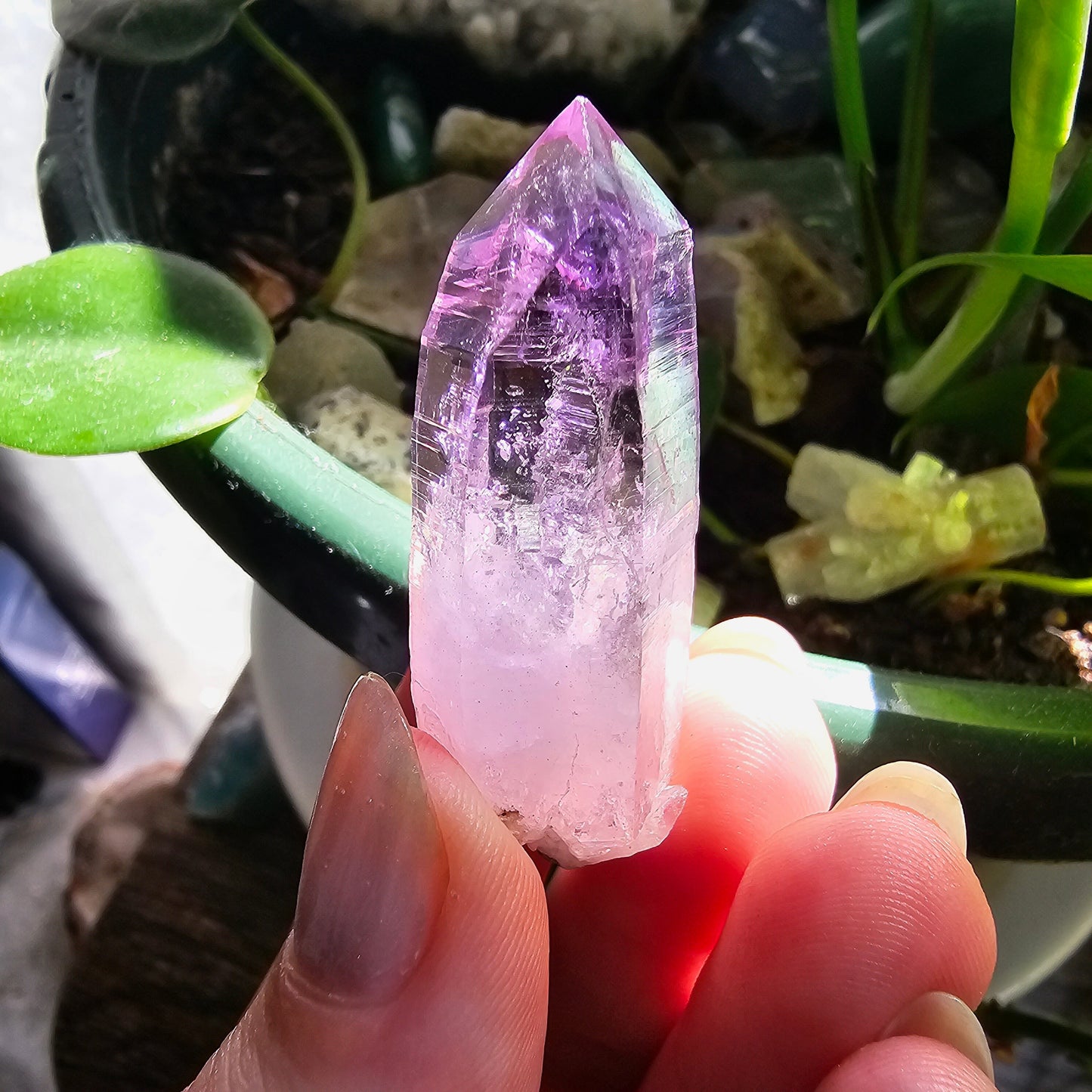 AAA Vera Cruz Amethyst Crystal, Rare Raw High Grade Phantom Specimen, from Mexico | 13.1g Terminated Saturated Piece, February Gift