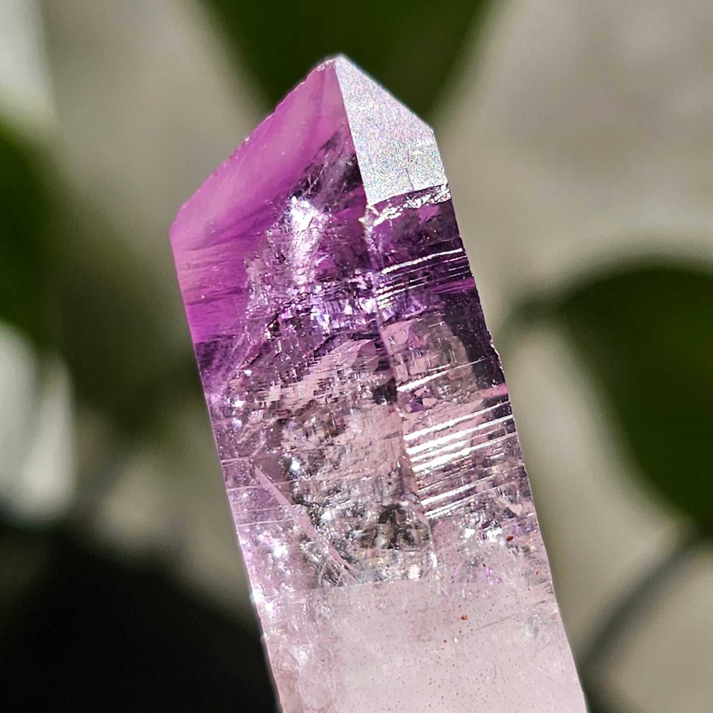 AAA Vera Cruz Amethyst Crystal, Rare Raw High Grade Phantom Specimen, from Mexico | 13.1g Terminated Saturated Piece, February Gift