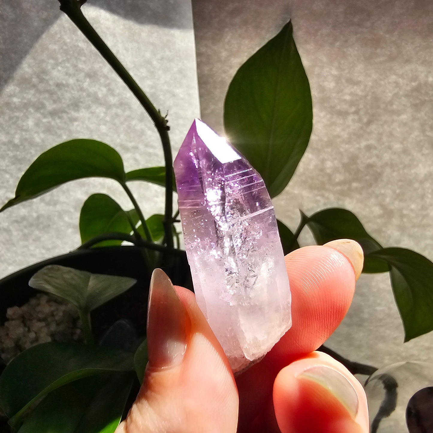 AAA Vera Cruz Amethyst Crystal, Rare Raw High Grade Phantom Specimen, from Mexico | 13.1g Terminated Saturated Piece, February Gift