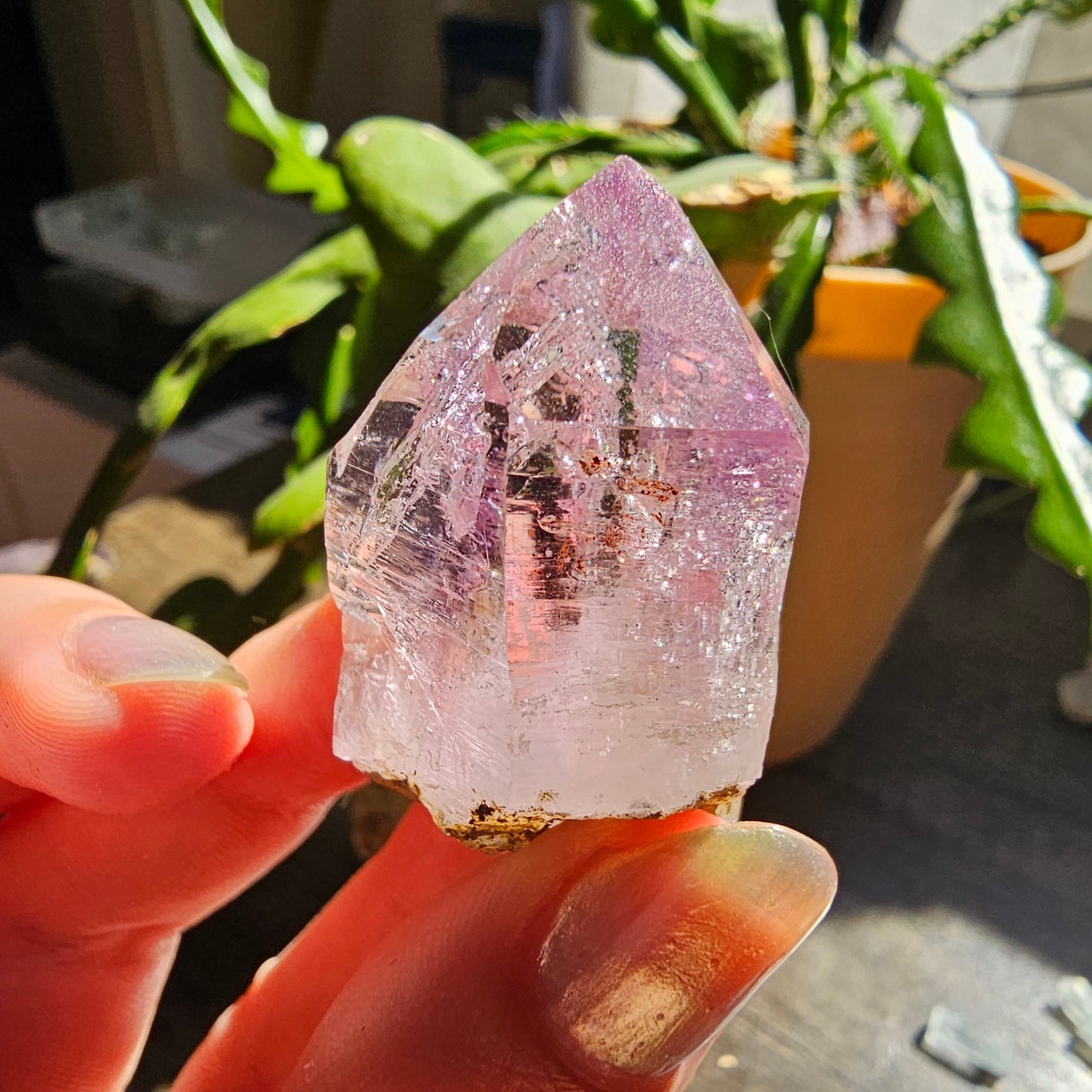 Large Vera Cruz Amethyst AAA Crystal, Rare Raw Natural Stone from Mexico | 32g Terminated High Grade Collector Specimen, February Gift