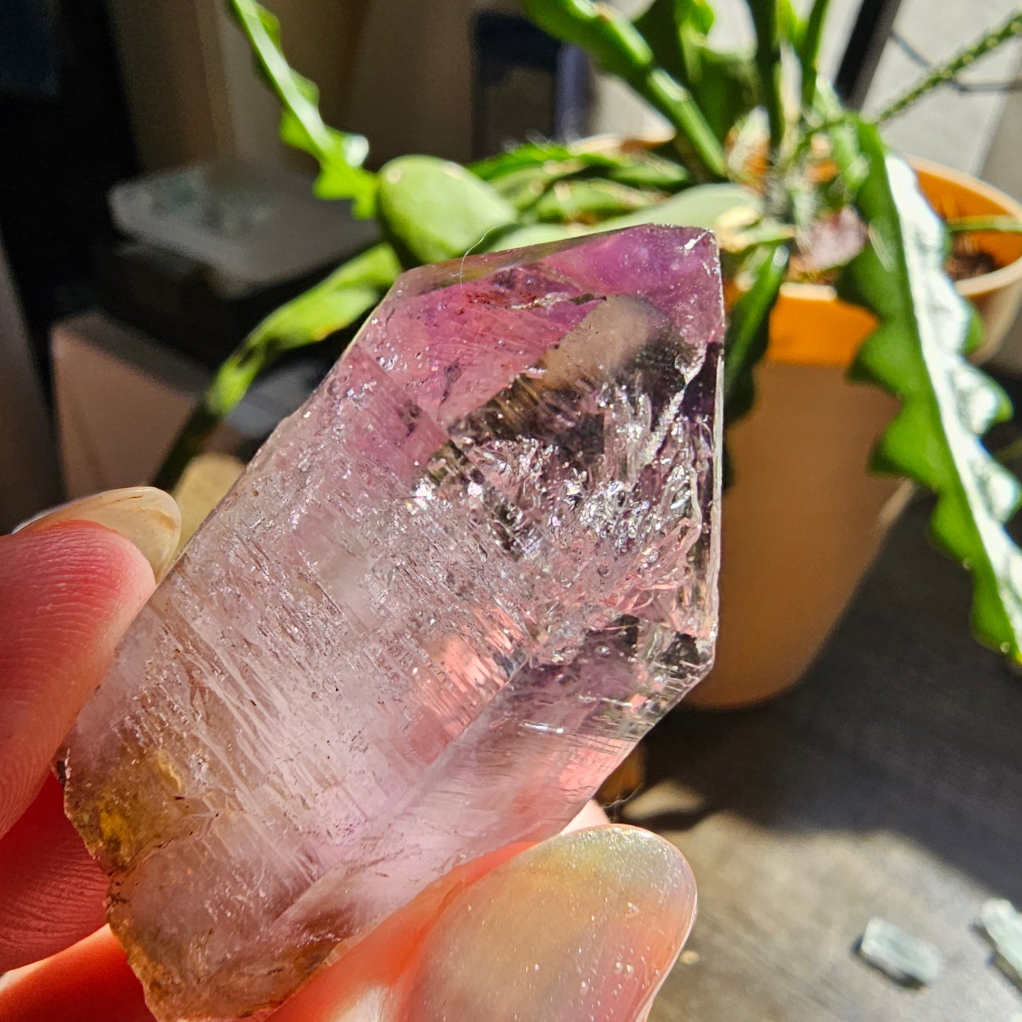 Large Vera Cruz Amethyst AAA Crystal, Rare Raw Natural Stone from Mexico | 32g Terminated High Grade Collector Specimen, February Gift