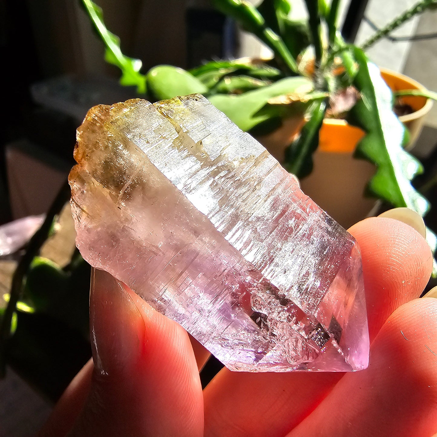 Large Vera Cruz Amethyst AAA Crystal, Rare Raw Natural Stone from Mexico | 32g Terminated High Grade Collector Specimen, February Gift