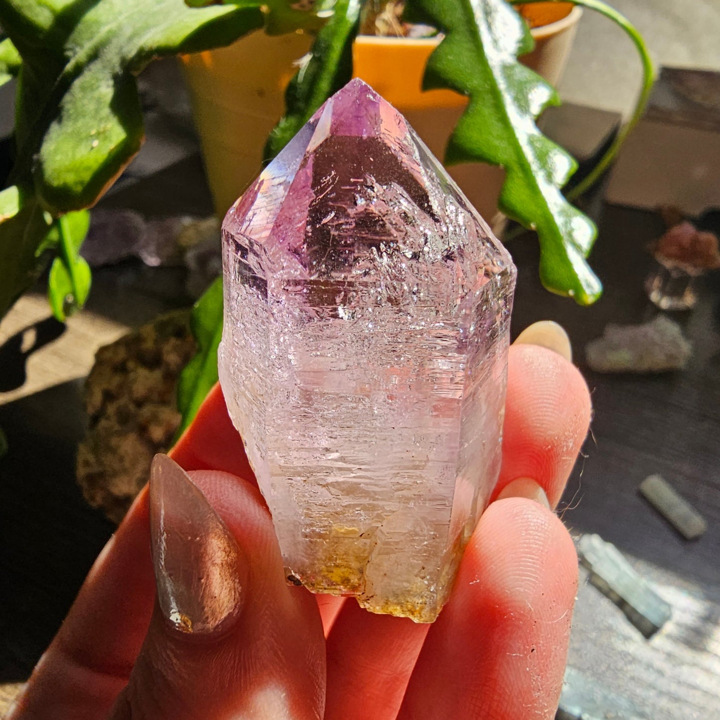 Large Vera Cruz Amethyst AAA Crystal, Rare Raw Natural Stone from Mexico | 32g Terminated High Grade Collector Specimen, February Gift