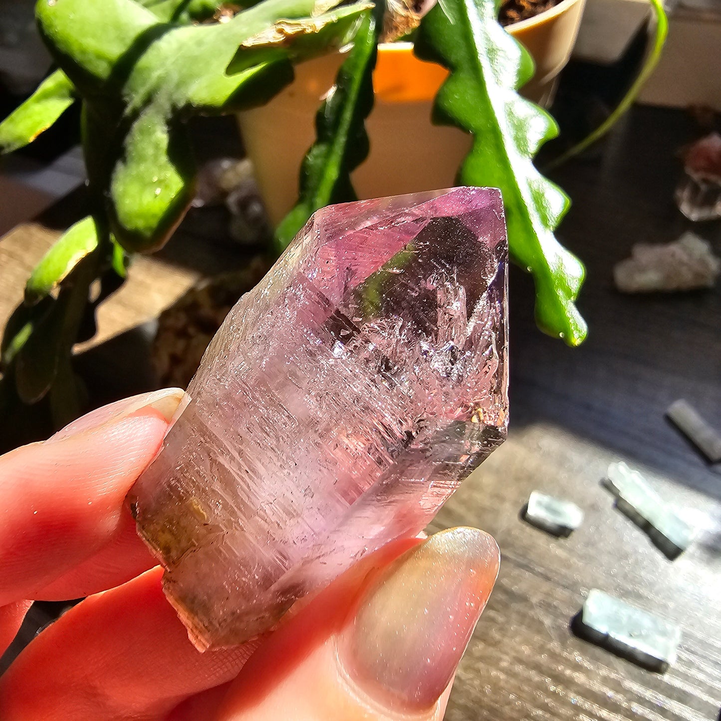 Large Vera Cruz Amethyst AAA Crystal, Rare Raw Natural Stone from Mexico | 32g Terminated High Grade Collector Specimen, February Gift