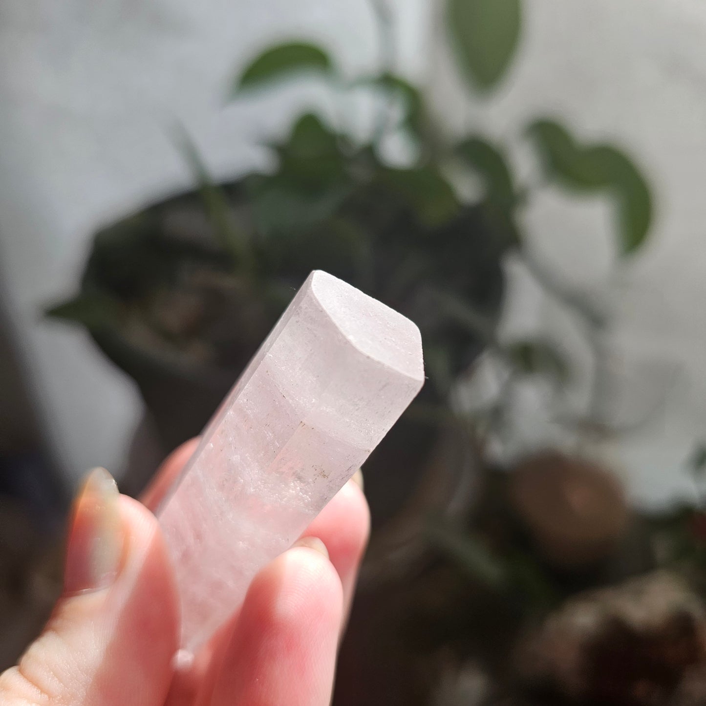 Kunzite Crystal 'Tower', Raw Light Pink Spudomene
