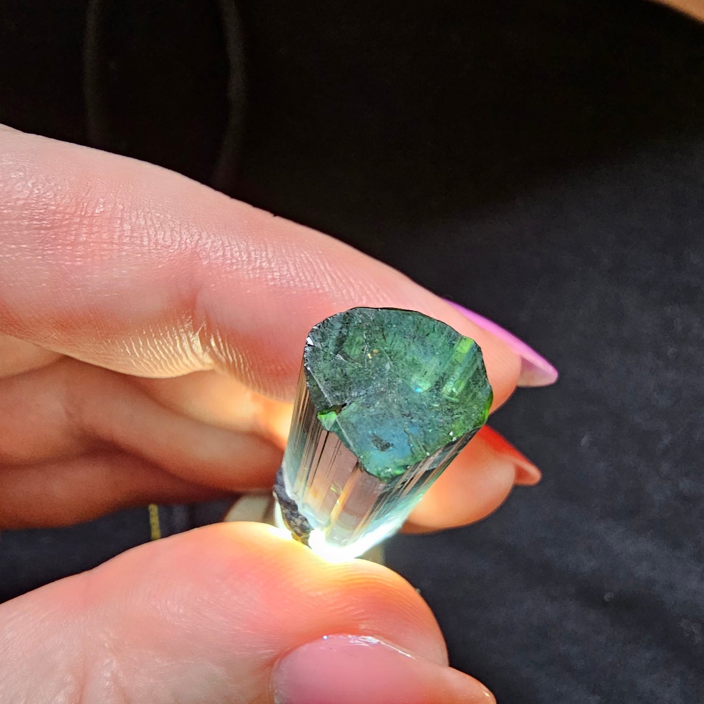 7.2g Beautiful Blue Indicolite Tourmaline Crystal | From Pedeniera Brazil | Terminated Collector Specimen with Black Tourmaline & Lepidolite