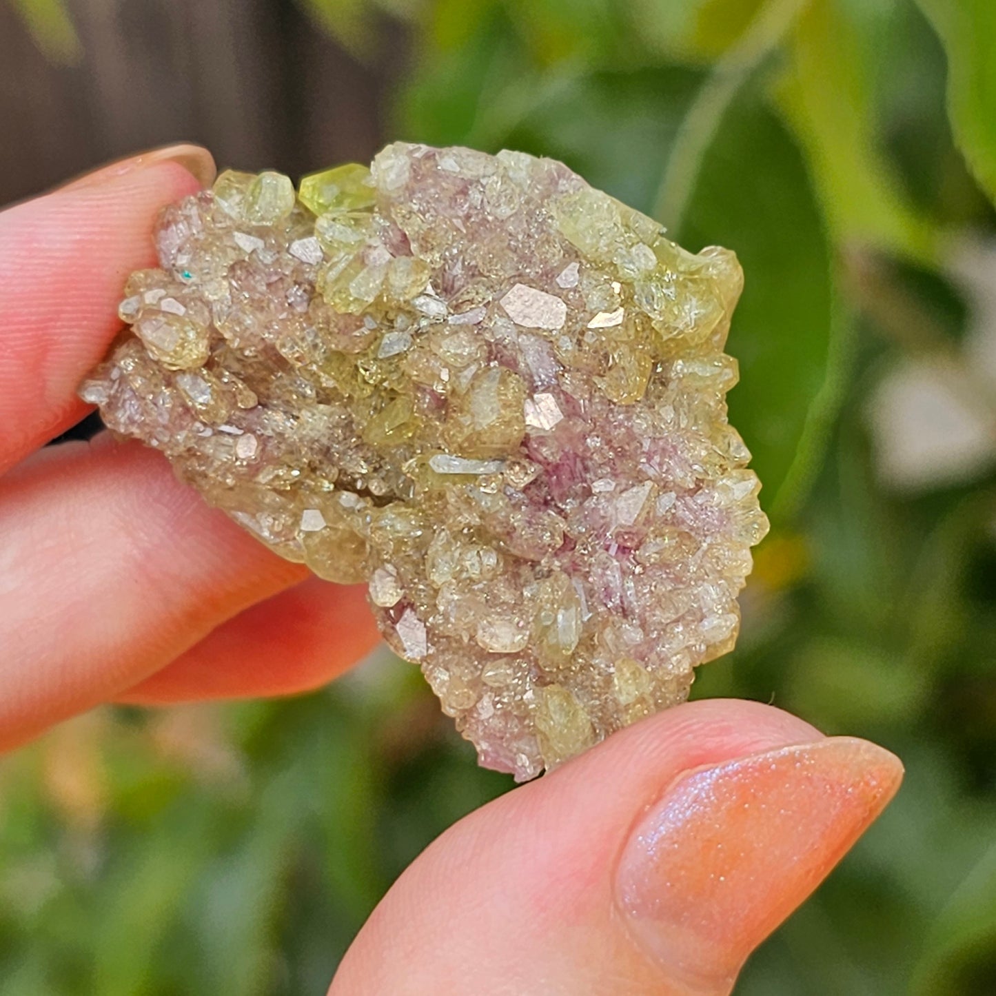 20g Vesuvianite Cluster, Raw Rare Jeffrey Mine, One of a Kind, Canadian Crystal, Vesuvianite Cluster, Green and Purple Rare Collector Gem