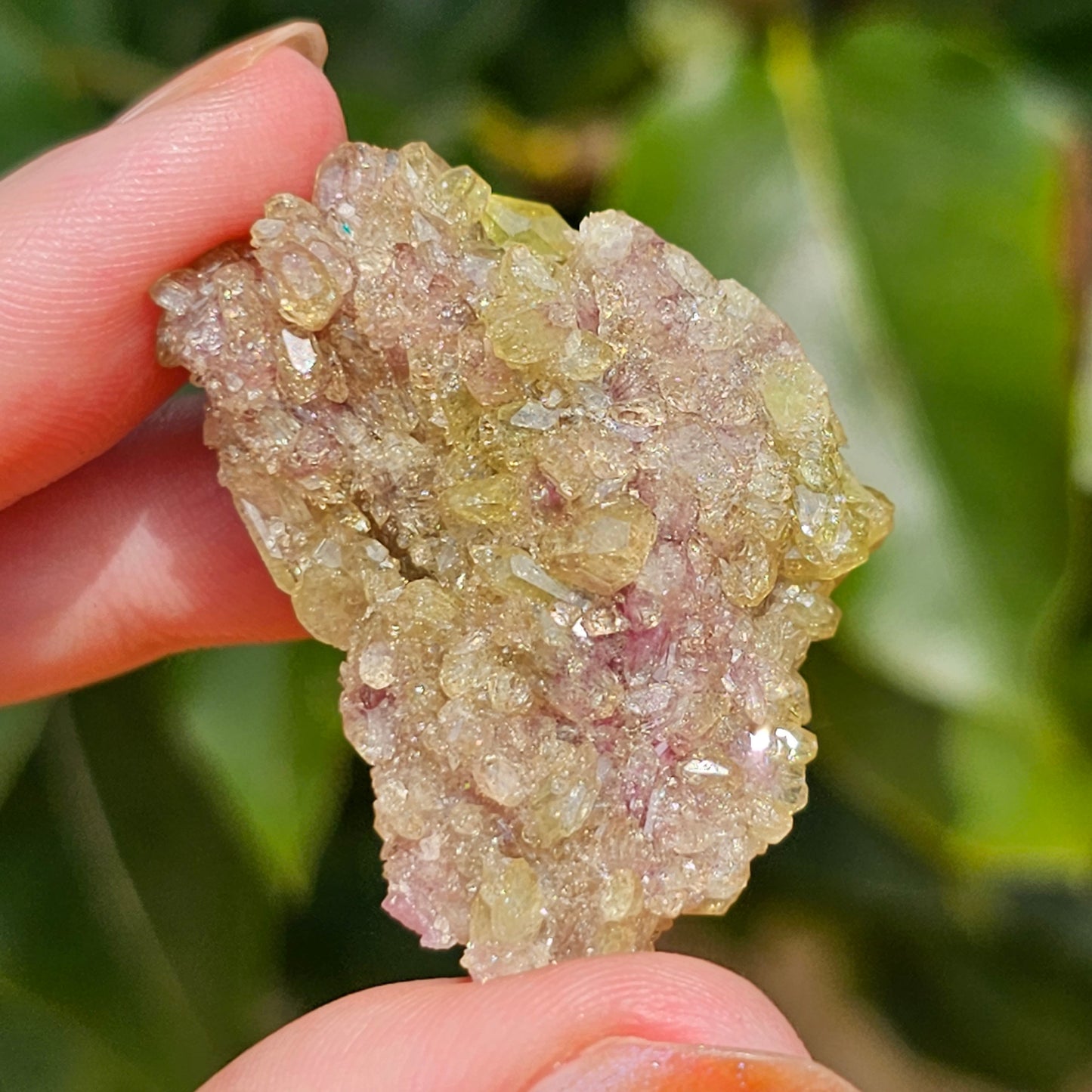 20g Vesuvianite Cluster, Raw Rare Jeffrey Mine, One of a Kind, Canadian Crystal, Vesuvianite Cluster, Green and Purple Rare Collector Gem