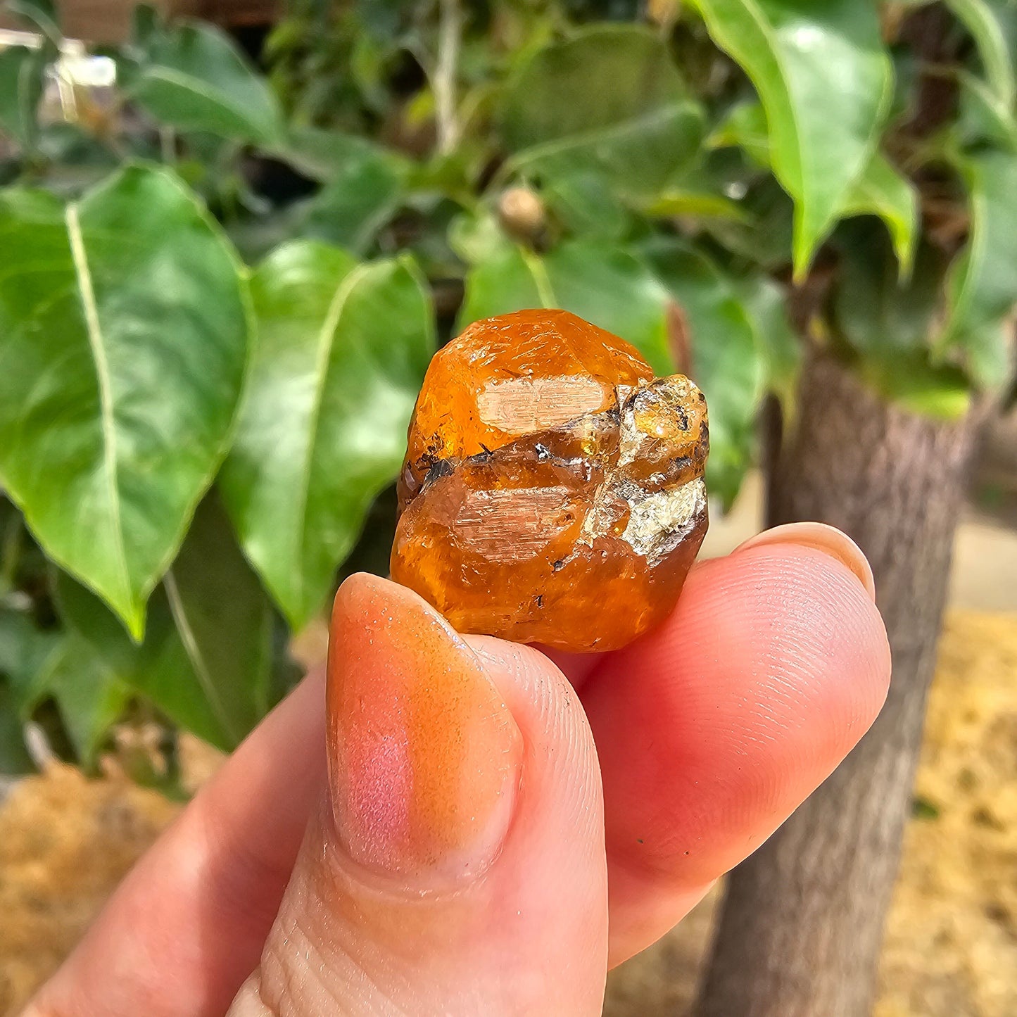 10g Spessartine, Cute Lolindo Tanzania, Bright Orange Garnet, Rough Spessartite, January Birthstone, Rare Etched Garnet, Collector Crystal