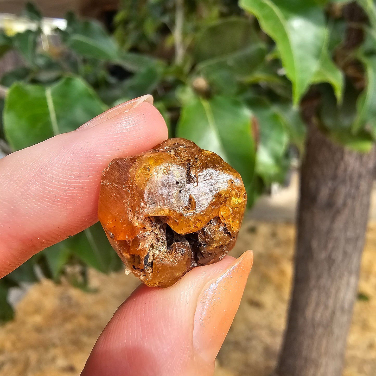 10g Spessartine, Cute Lolindo Tanzania, Bright Orange Garnet, Rough Spessartite, January Birthstone, Rare Etched Garnet, Collector Crystal
