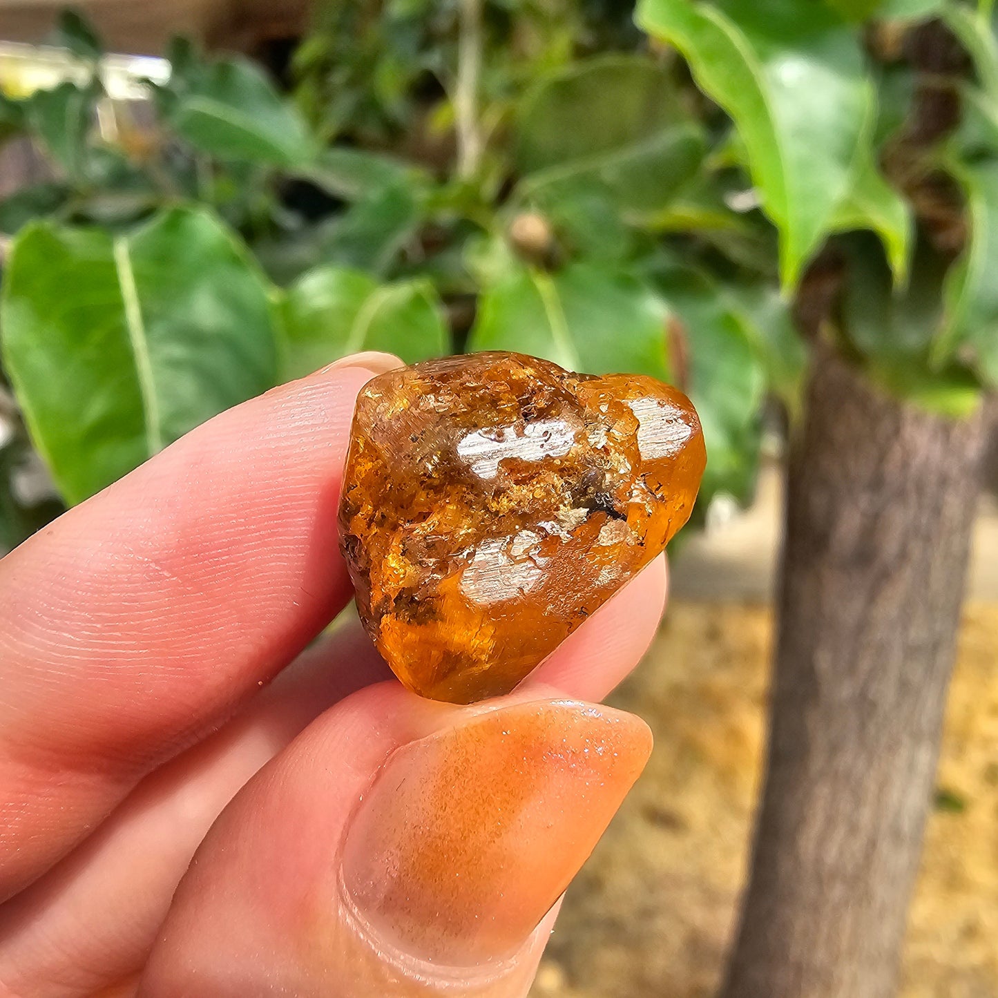 10g Spessartine, Cute Lolindo Tanzania, Bright Orange Garnet, Rough Spessartite, January Birthstone, Rare Etched Garnet, Collector Crystal