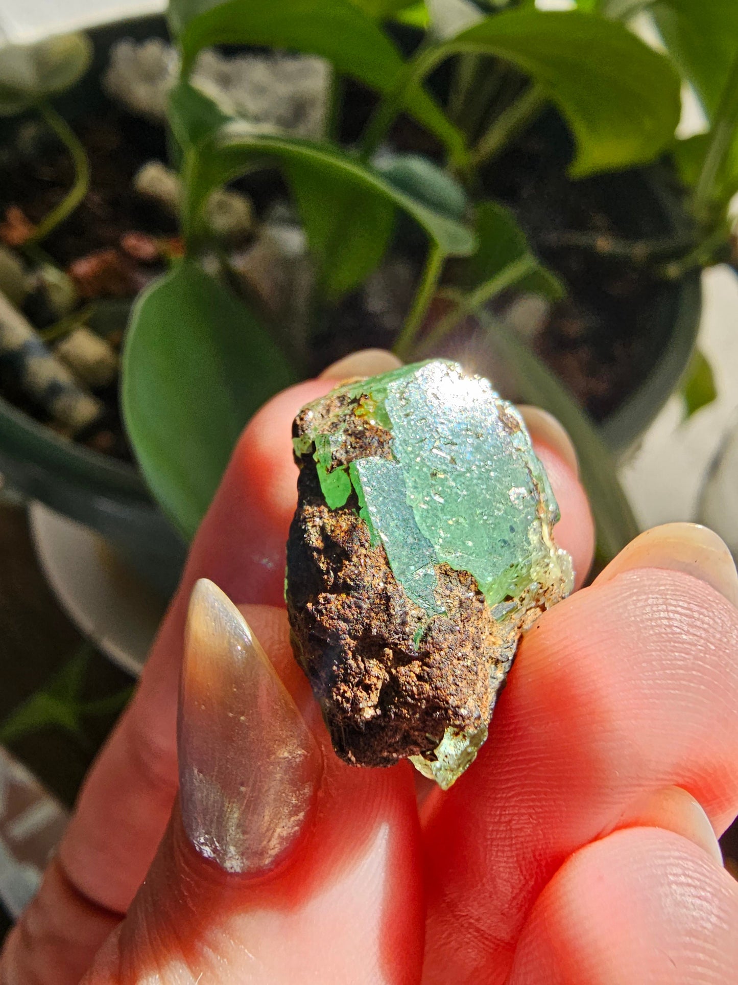 Large 45ct Tsavorite Garnet, 9g Green Grossular Rare Crystal, Merelani Hills Tanzania Origin, Terminated Raw Rough Natural Gem Specimen