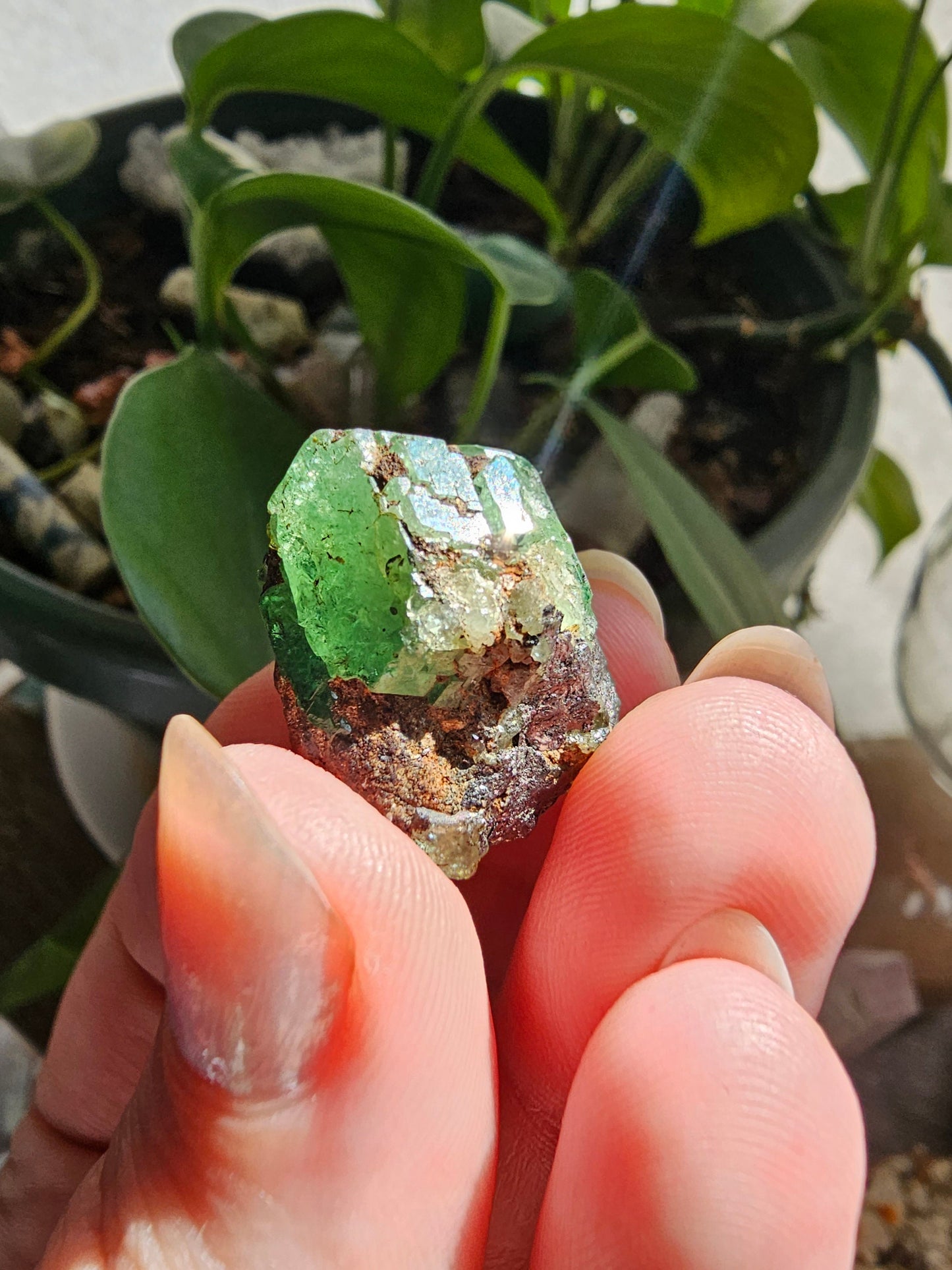 Large 45ct Tsavorite Garnet, 9g Green Grossular Rare Crystal, Merelani Hills Tanzania Origin, Terminated Raw Rough Natural Gem Specimen