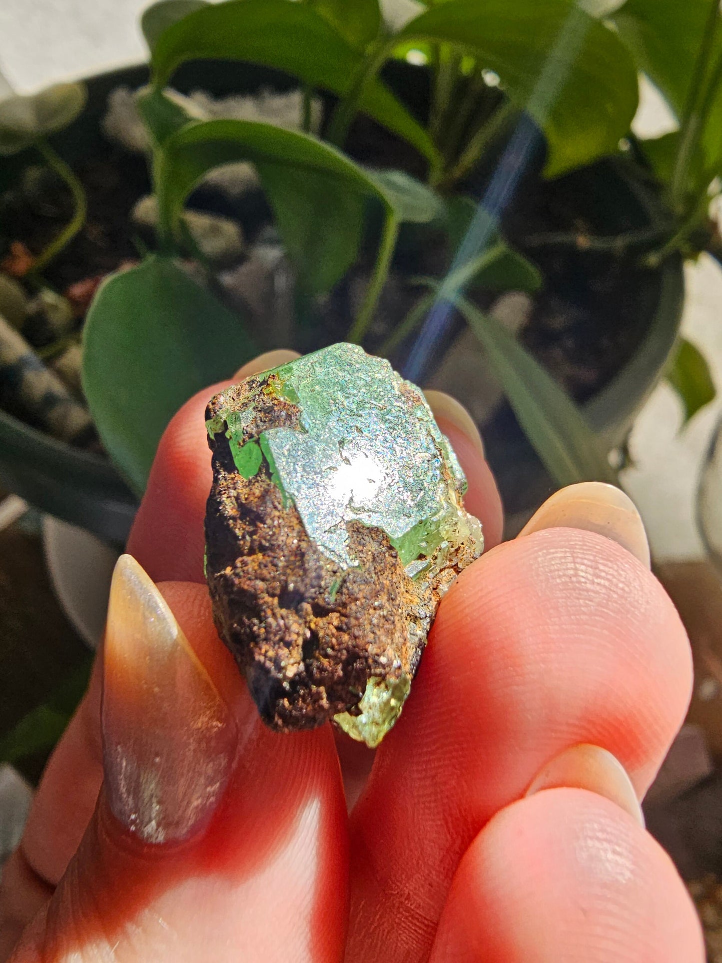 Large 45ct Tsavorite Garnet, 9g Green Grossular Rare Crystal, Merelani Hills Tanzania Origin, Terminated Raw Rough Natural Gem Specimen