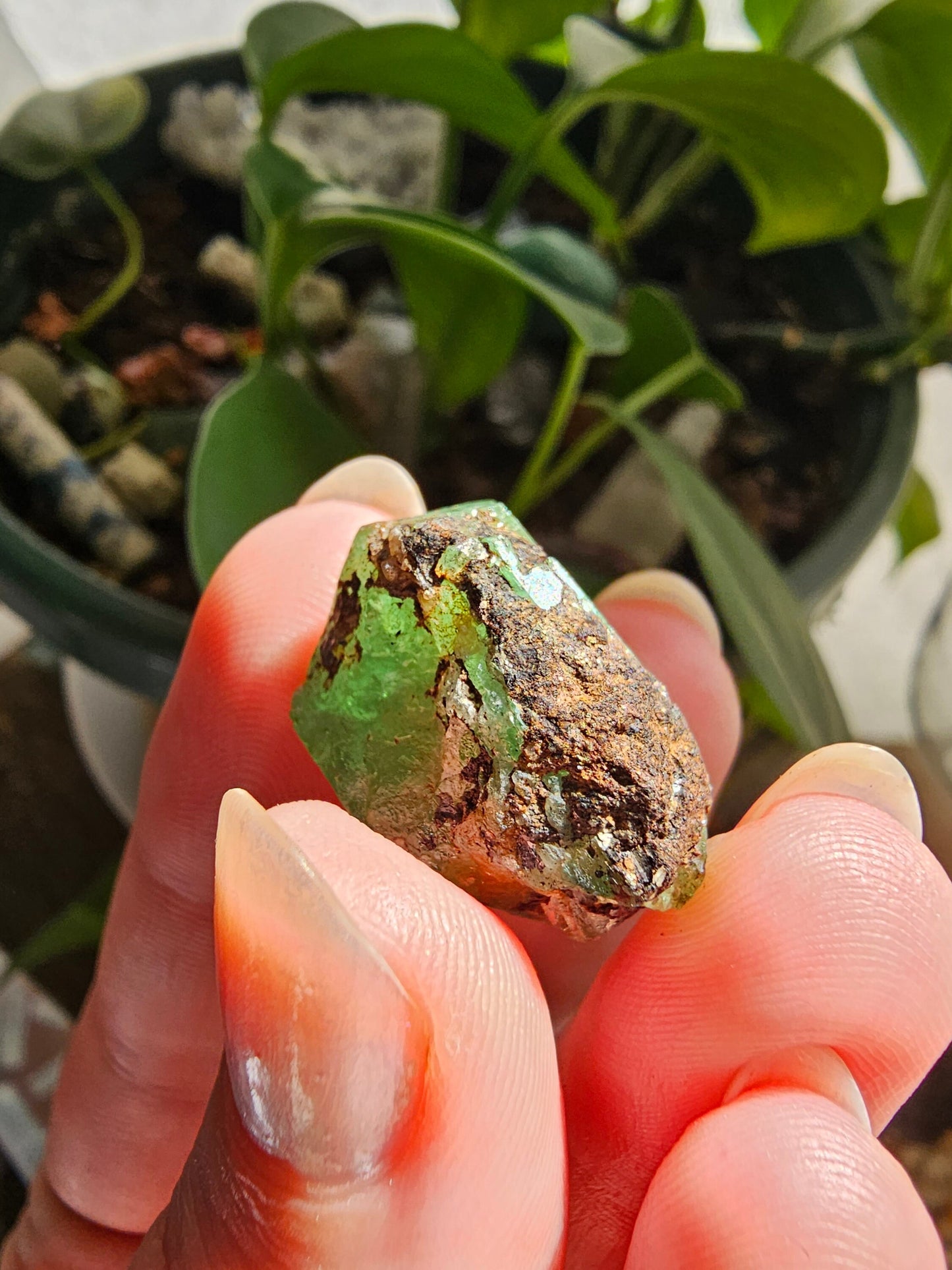 Large 45ct Tsavorite Garnet, 9g Green Grossular Rare Crystal, Merelani Hills Tanzania Origin, Terminated Raw Rough Natural Gem Specimen