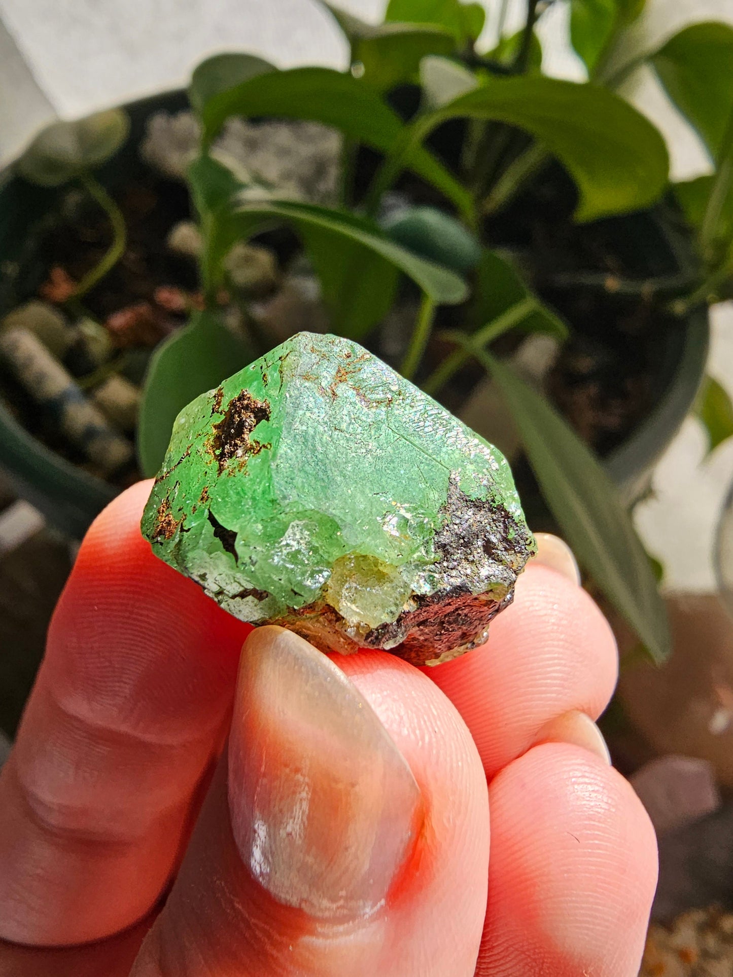 Large 45ct Tsavorite Garnet, 9g Green Grossular Rare Crystal, Merelani Hills Tanzania Origin, Terminated Raw Rough Natural Gem Specimen