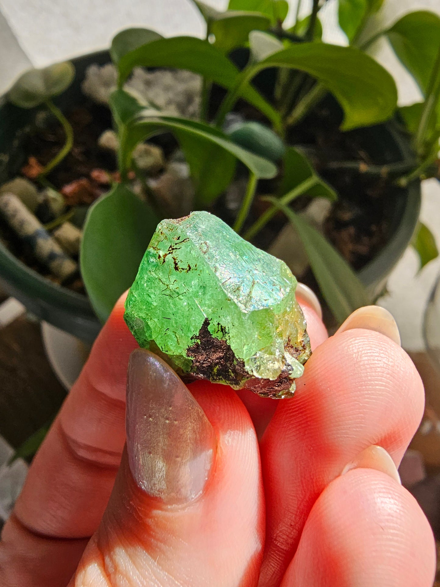 Large 45ct Tsavorite Garnet, 9g Green Grossular Rare Crystal, Merelani Hills Tanzania Origin, Terminated Raw Rough Natural Gem Specimen