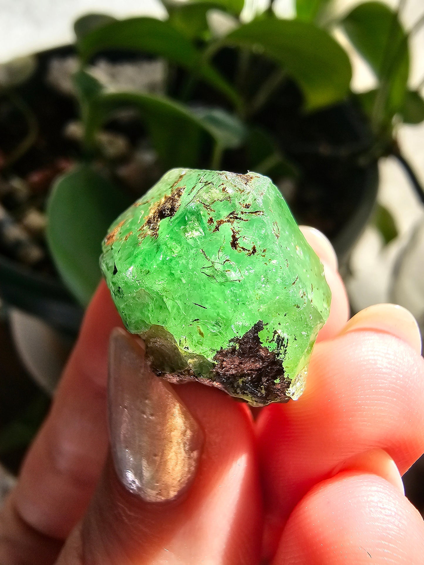 Large 45ct Tsavorite Garnet, 9g Green Grossular Rare Crystal, Merelani Hills Tanzania Origin, Terminated Raw Rough Natural Gem Specimen