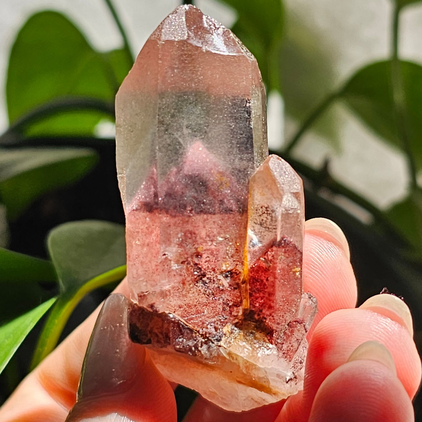 Hematite Phantom Quartz, 'Sunset Fire' Phantom India, Water Clear High Grade Collector Crystal, Red Glitter Pyramid Inside Raw Rare Specimen
