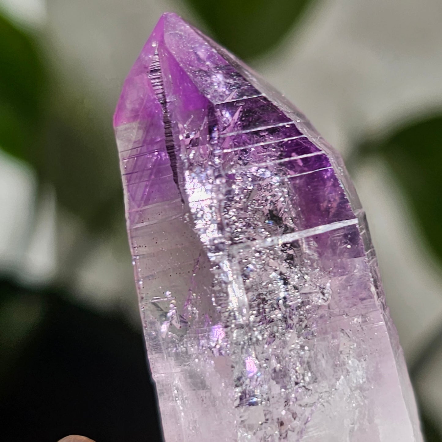 AAA Vera Cruz Amethyst Crystal, Rare Raw High Grade Phantom Specimen, from Mexico | 13.1g Terminated Saturated Piece, February Gift