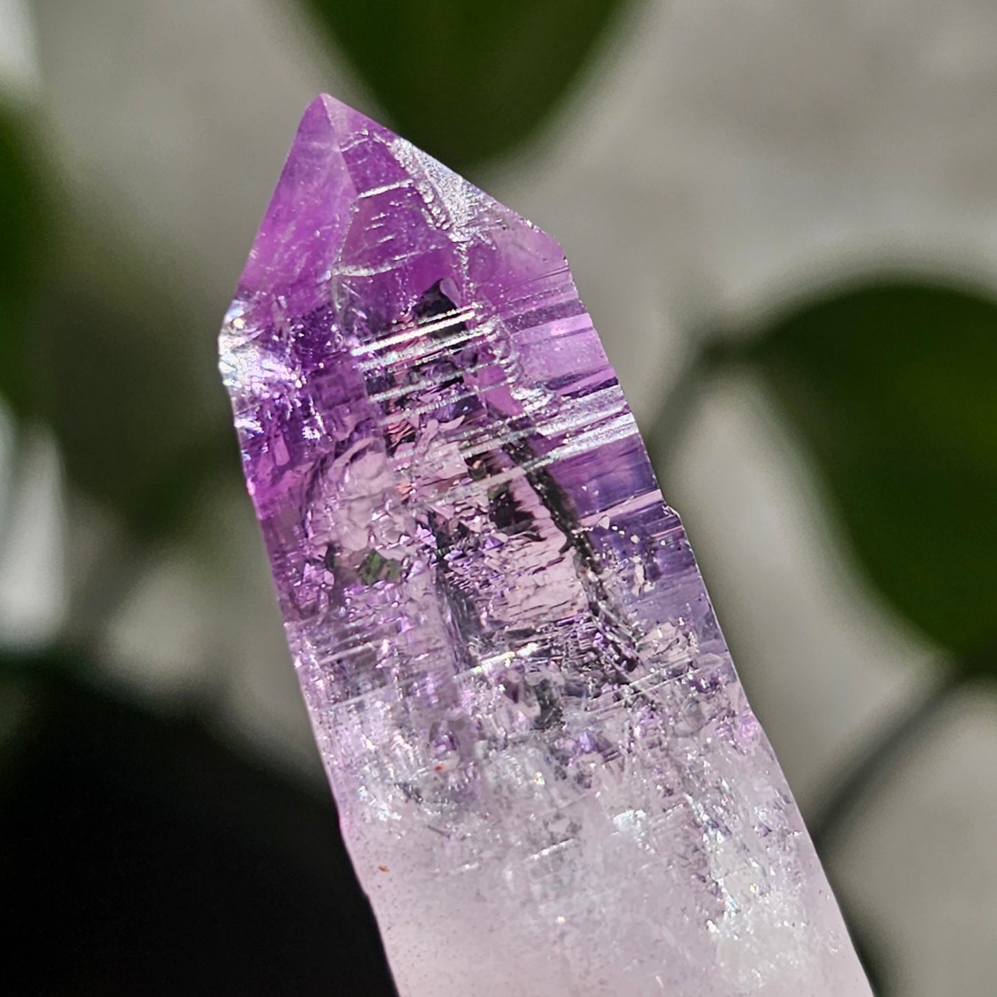 AAA Vera Cruz Amethyst Crystal, Rare Raw High Grade Phantom Specimen, from Mexico | 13.1g Terminated Saturated Piece, February Gift