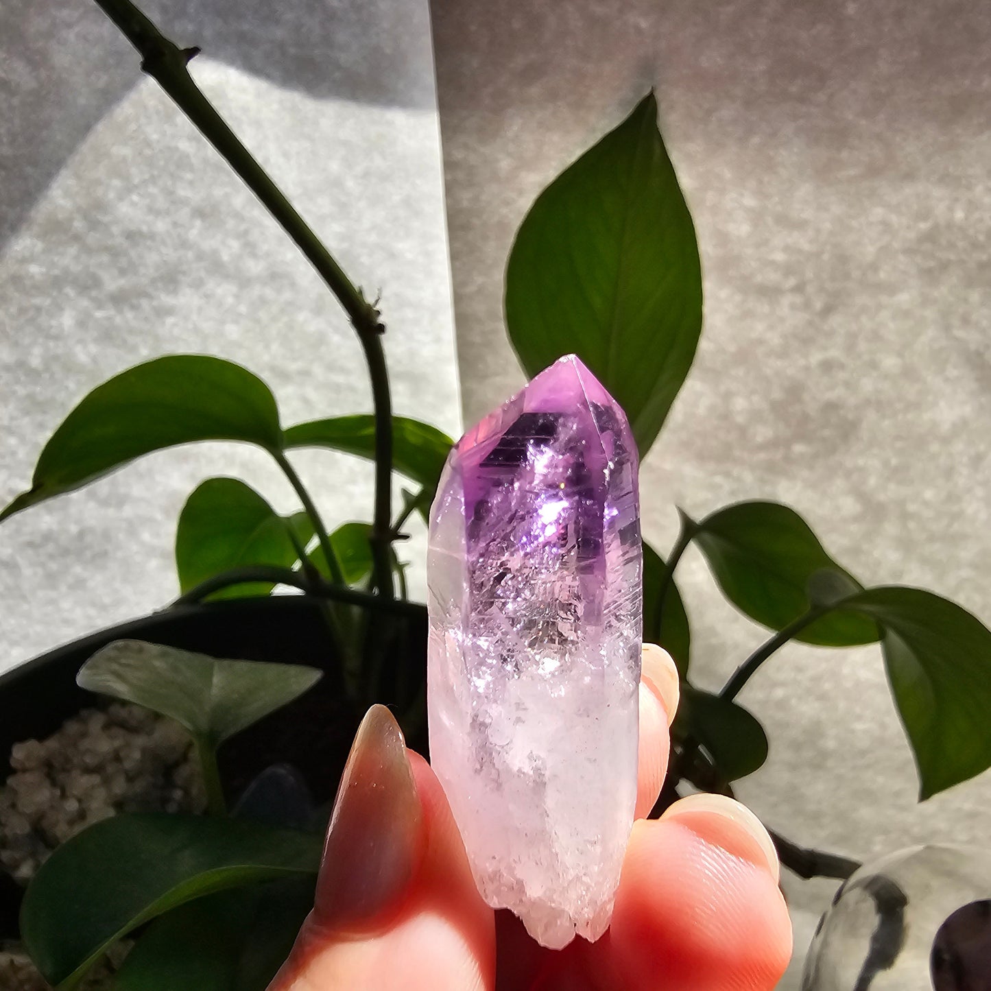 AAA Vera Cruz Amethyst Crystal, Rare Raw High Grade Phantom Specimen, from Mexico | 13.1g Terminated Saturated Piece, February Gift