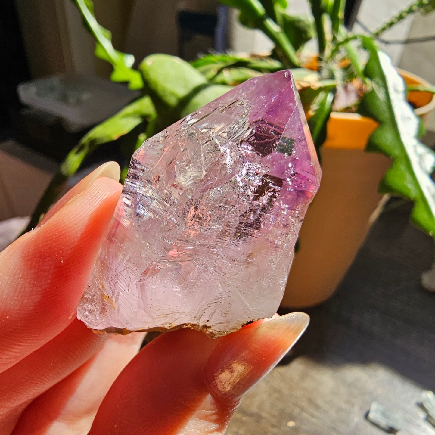 Large Vera Cruz Amethyst AAA Crystal, Rare Raw Natural Stone from Mexico | 32g Terminated High Grade Collector Specimen, February Gift