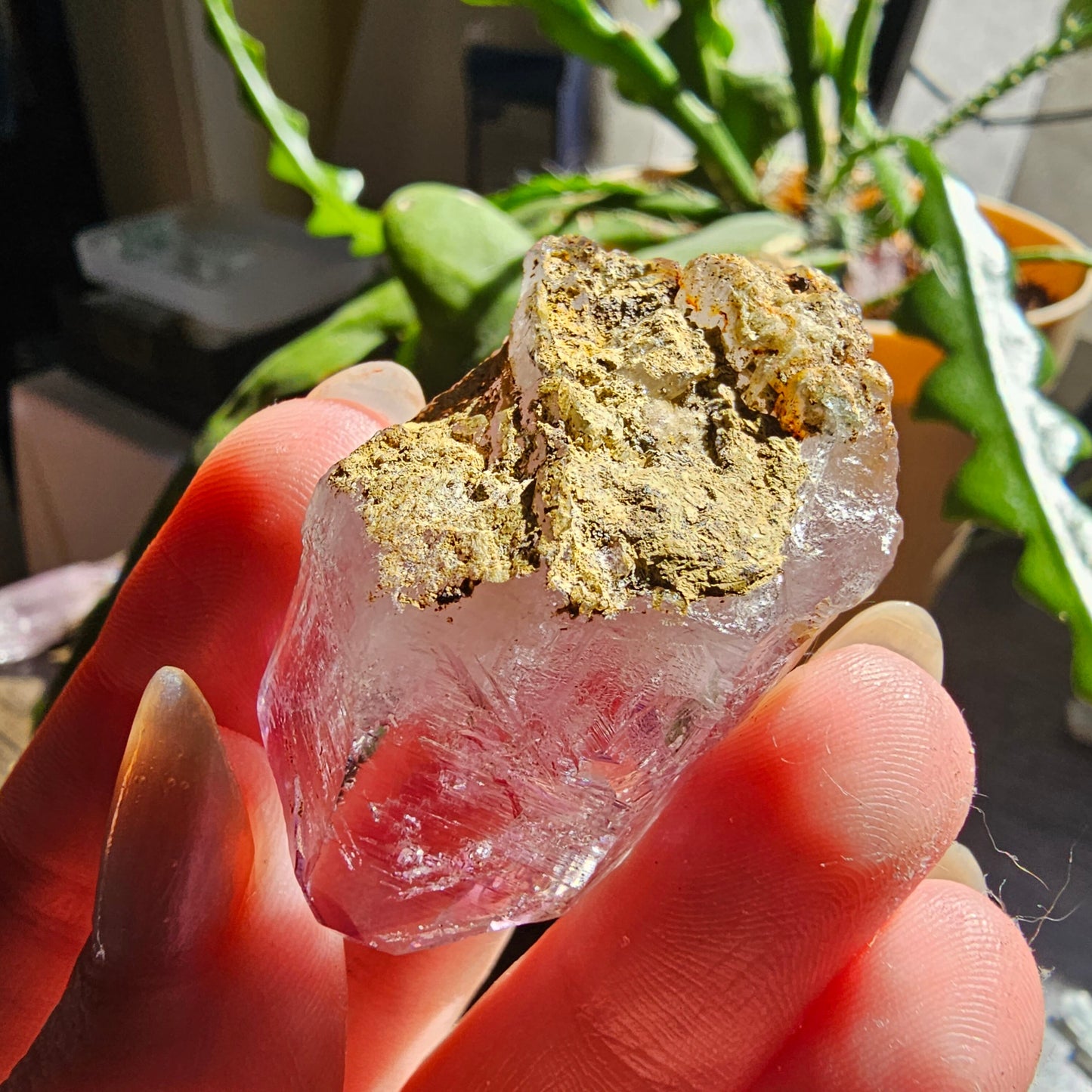 Large Vera Cruz Amethyst AAA Crystal, Rare Raw Natural Stone from Mexico | 32g Terminated High Grade Collector Specimen, February Gift