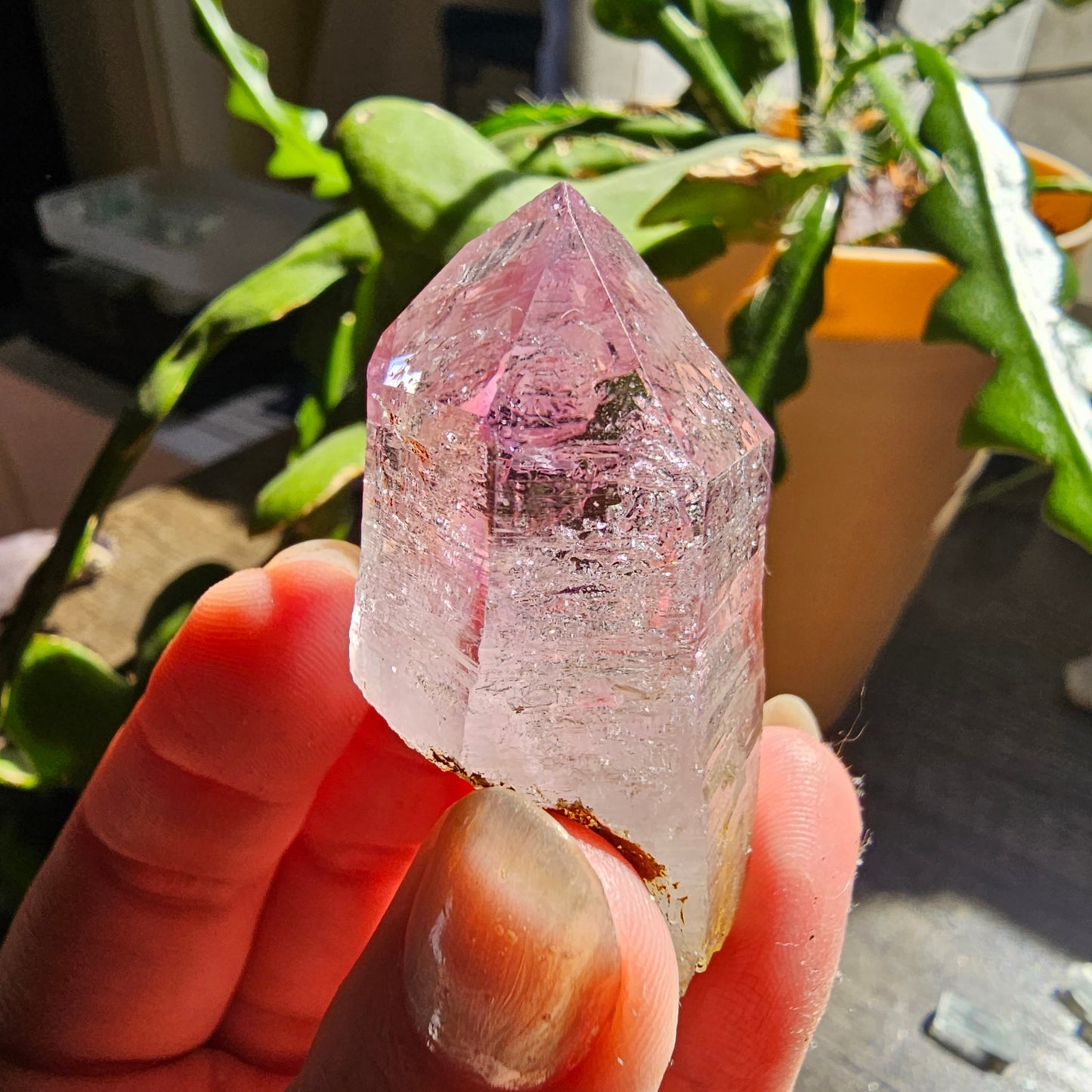 Large Vera Cruz Amethyst AAA Crystal, Rare Raw Natural Stone from Mexico | 32g Terminated High Grade Collector Specimen, February Gift