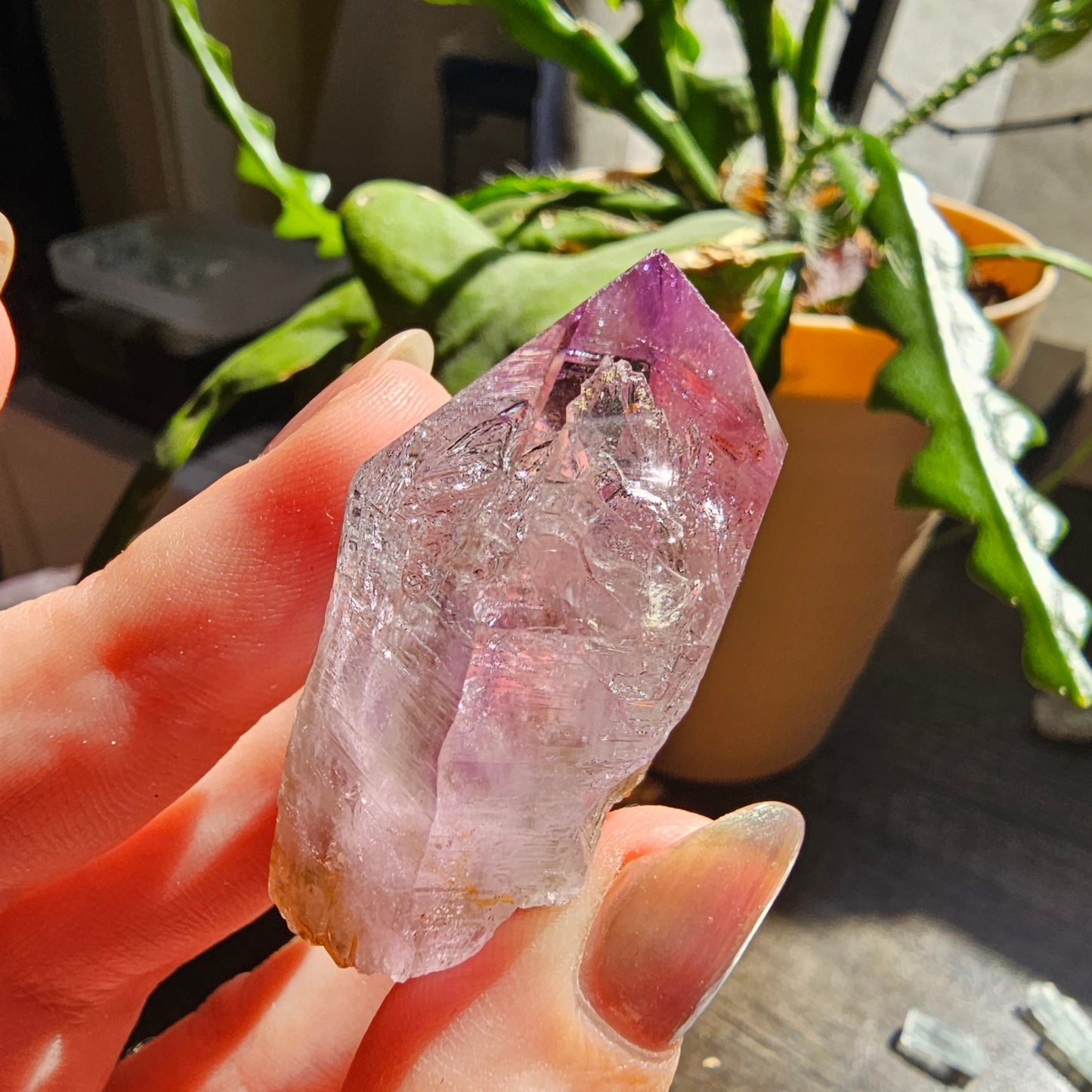 Large Vera Cruz Amethyst AAA Crystal, Rare Raw Natural Stone from Mexico | 32g Terminated High Grade Collector Specimen, February Gift