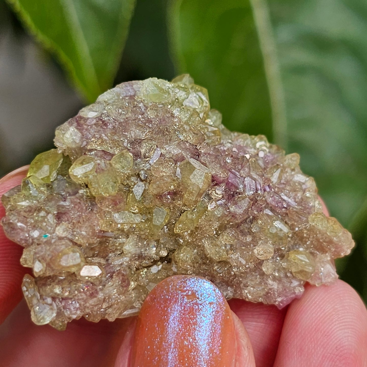 20g Vesuvianite Cluster, Raw Rare Jeffrey Mine, One of a Kind, Canadian Crystal, Vesuvianite Cluster, Green and Purple Rare Collector Gem