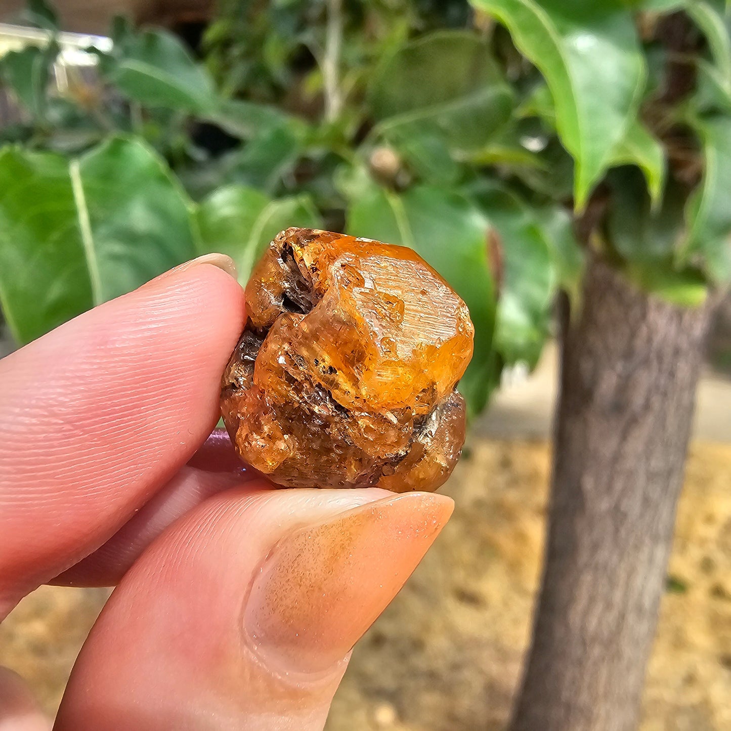 10g Spessartine, Cute Lolindo Tanzania, Bright Orange Garnet, Rough Spessartite, January Birthstone, Rare Etched Garnet, Collector Crystal