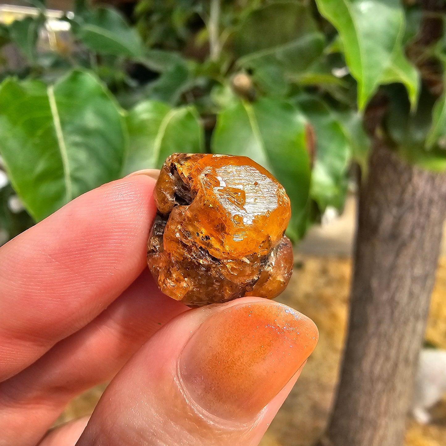 10g Spessartine, Cute Lolindo Tanzania, Bright Orange Garnet, Rough Spessartite, January Birthstone, Rare Etched Garnet, Collector Crystal