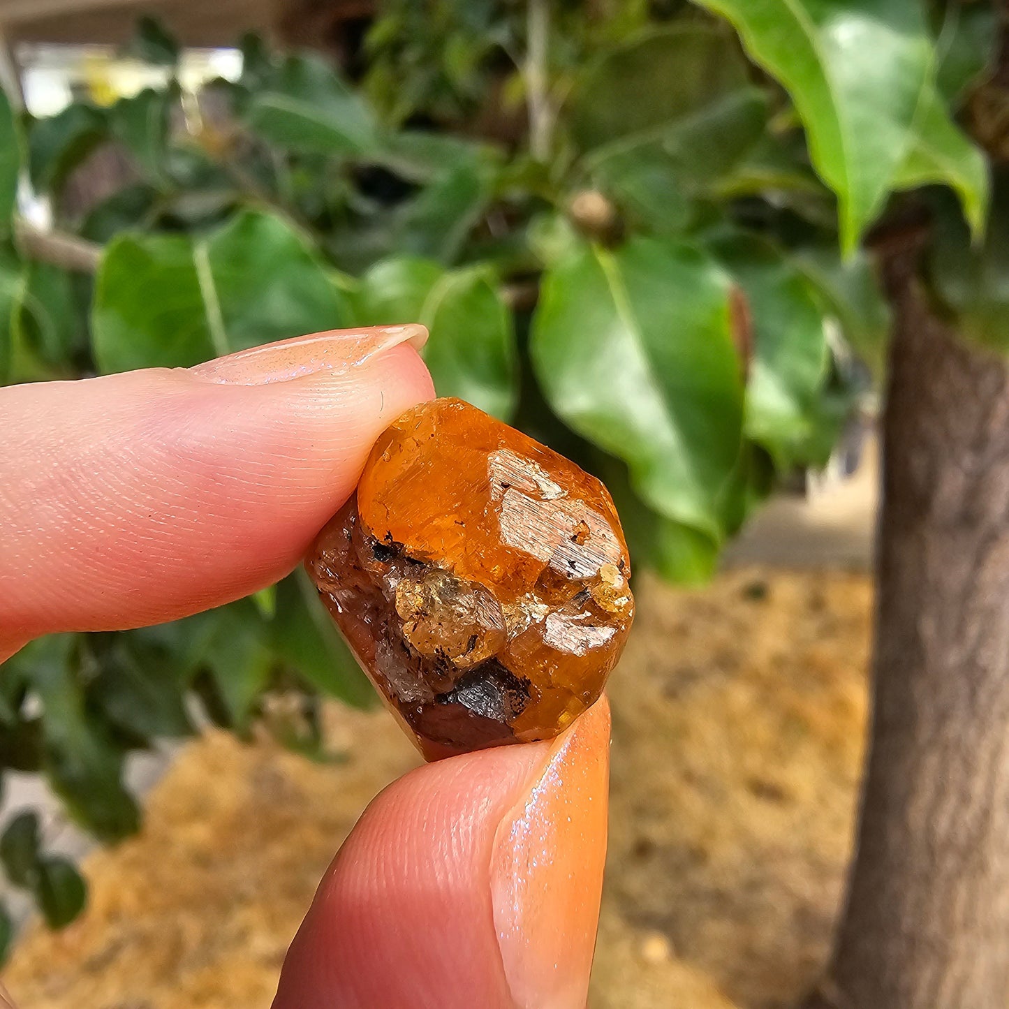 10g Spessartine, Cute Lolindo Tanzania, Bright Orange Garnet, Rough Spessartite, January Birthstone, Rare Etched Garnet, Collector Crystal