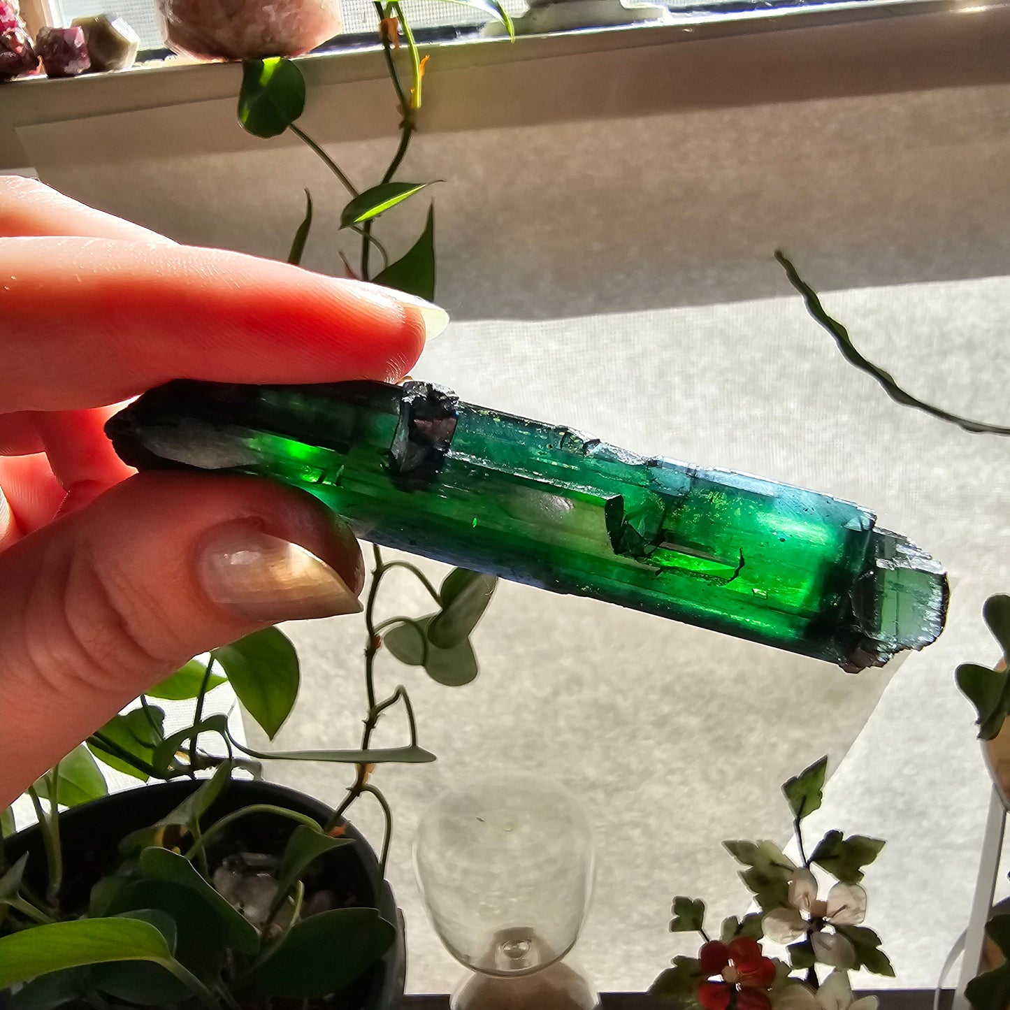 Vivianite Crystal, High Grade, Stunning Raw Gem, AAA Form and Color, Rare Rough Collector Crystal from Brazil, AAA Vivianite