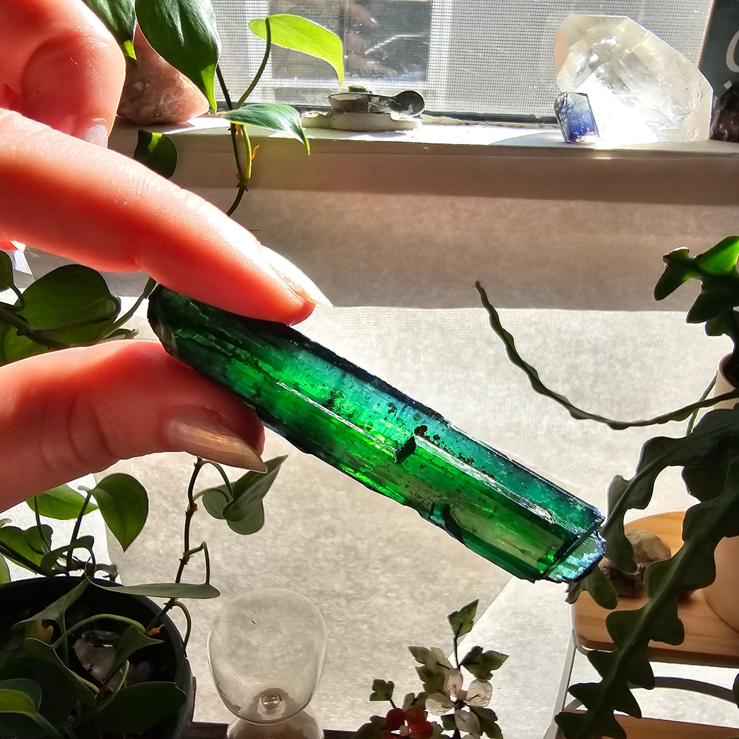 Vivianite Crystal, High Grade, Stunning Raw Gem, AAA Form and Color, Rare Rough Collector Crystal from Brazil, AAA Vivianite