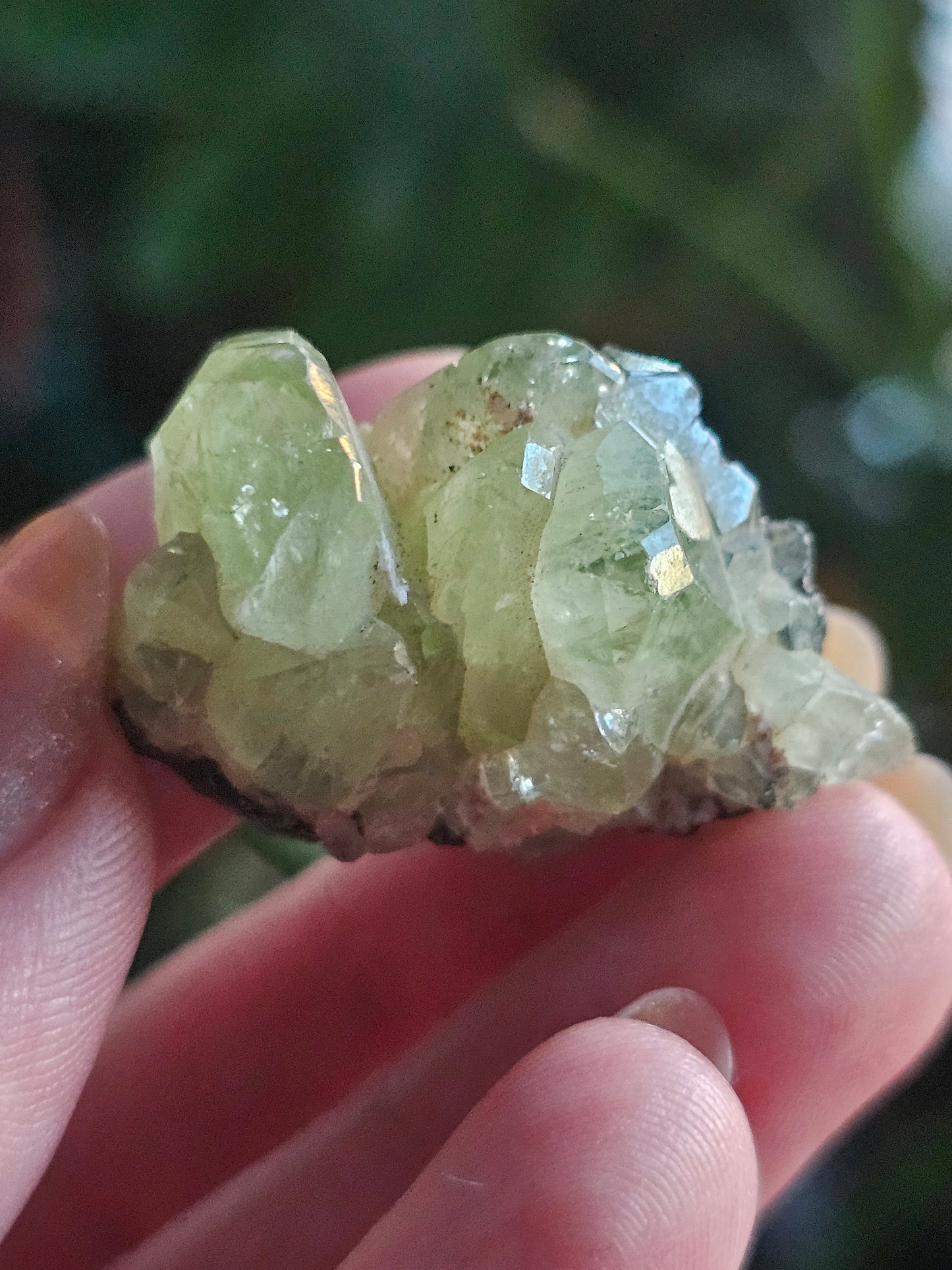 17.5g Diopside Cluster, Raw Rare Mint Green Crystal, Tanzania, Gemmy Diopside Specimen, Old Stock, Collector Gemstone, Lustrous High End Gem