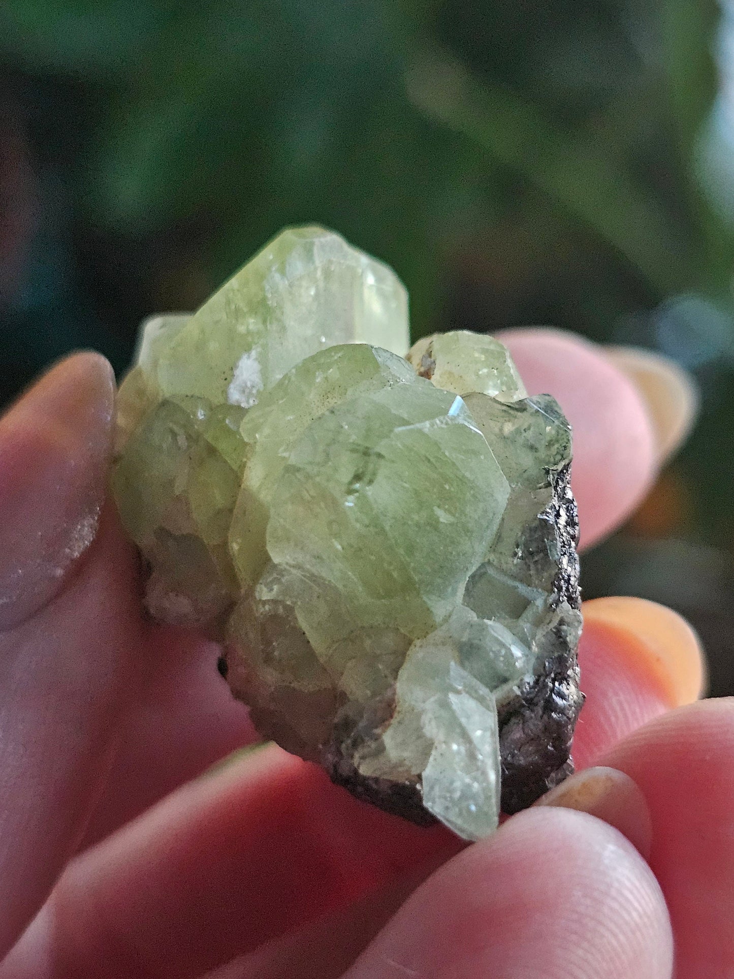 17.5g Diopside Cluster, Raw Rare Mint Green Crystal, Tanzania, Gemmy Diopside Specimen, Old Stock, Collector Gemstone, Lustrous High End Gem
