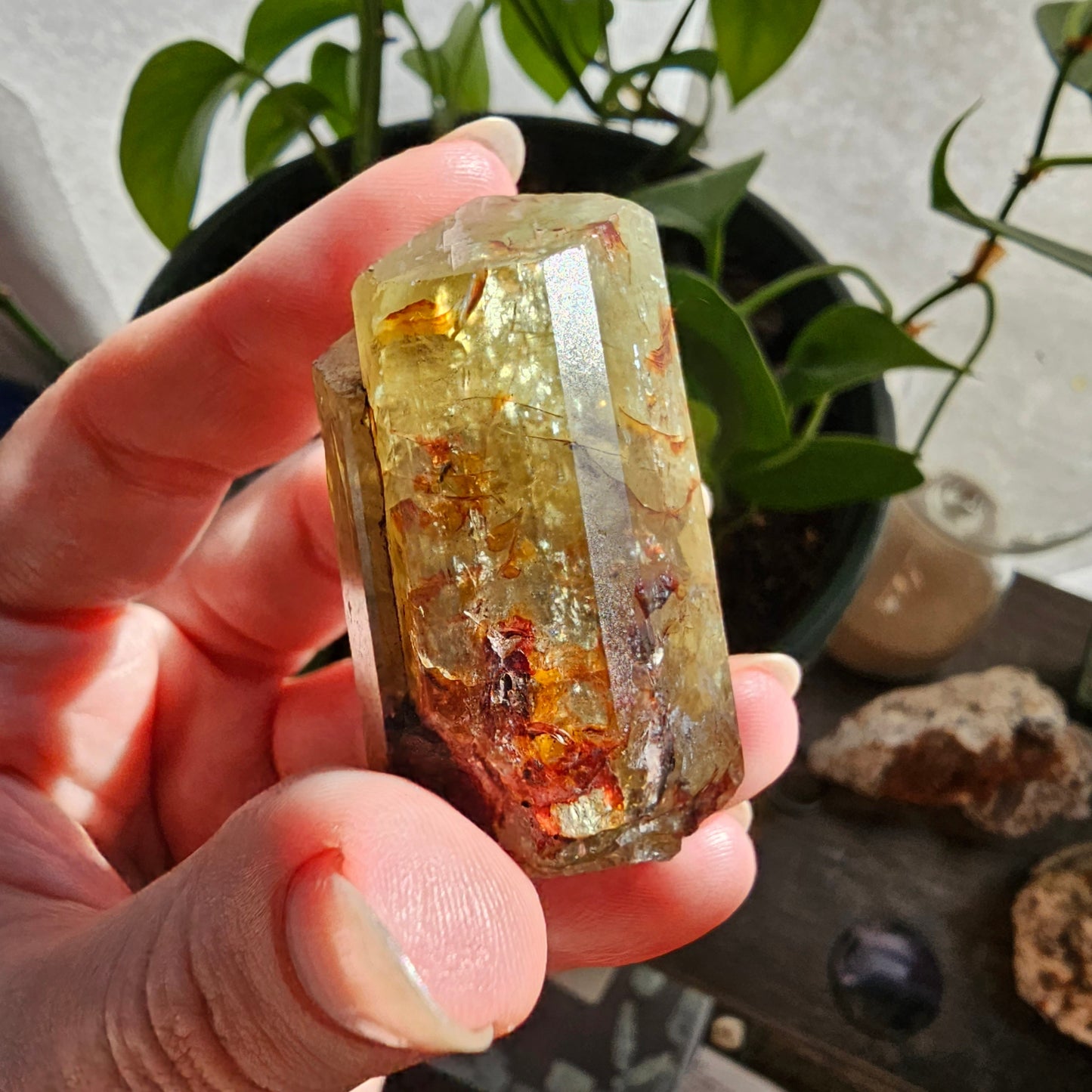 71g Golden Apatite from Durange Mexico, Raw XL Crystal, Yellow Apatite with Hematite, Lustrous Terminated and Twinned, Rough Rare Gemstone