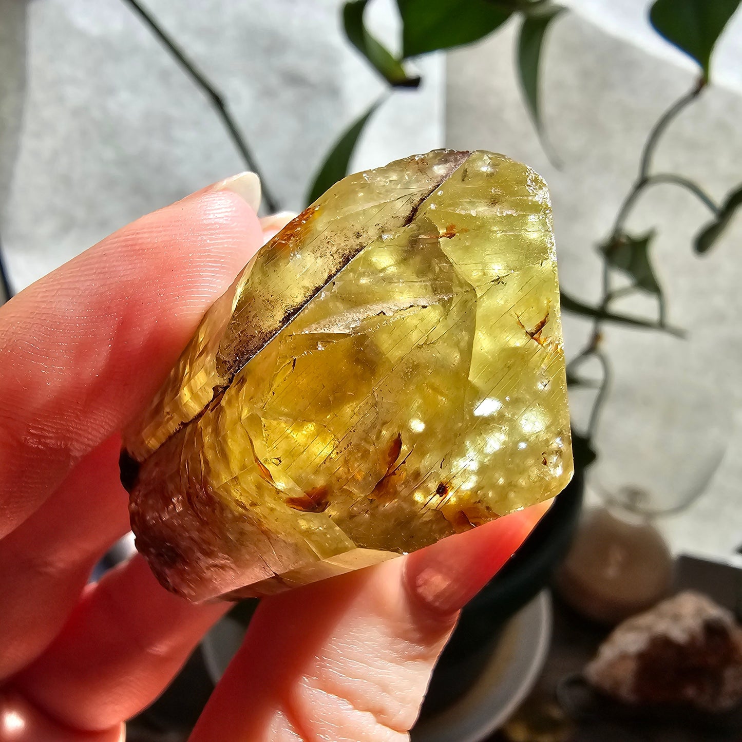 71g Golden Apatite from Durange Mexico, Raw XL Crystal, Yellow Apatite with Hematite, Lustrous Terminated and Twinned, Rough Rare Gemstone