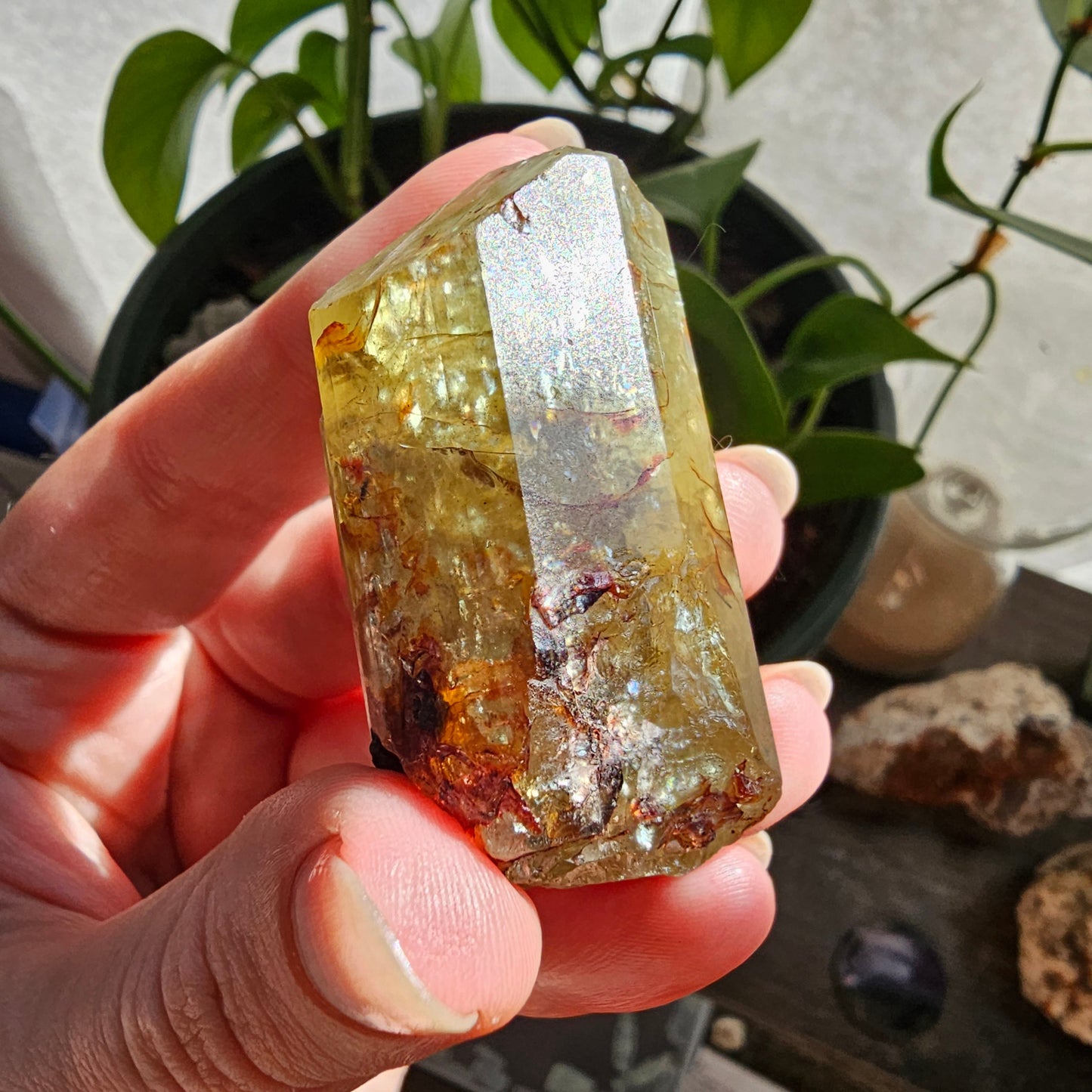 71g Golden Apatite from Durange Mexico, Raw XL Crystal, Yellow Apatite with Hematite, Lustrous Terminated and Twinned, Rough Rare Gemstone