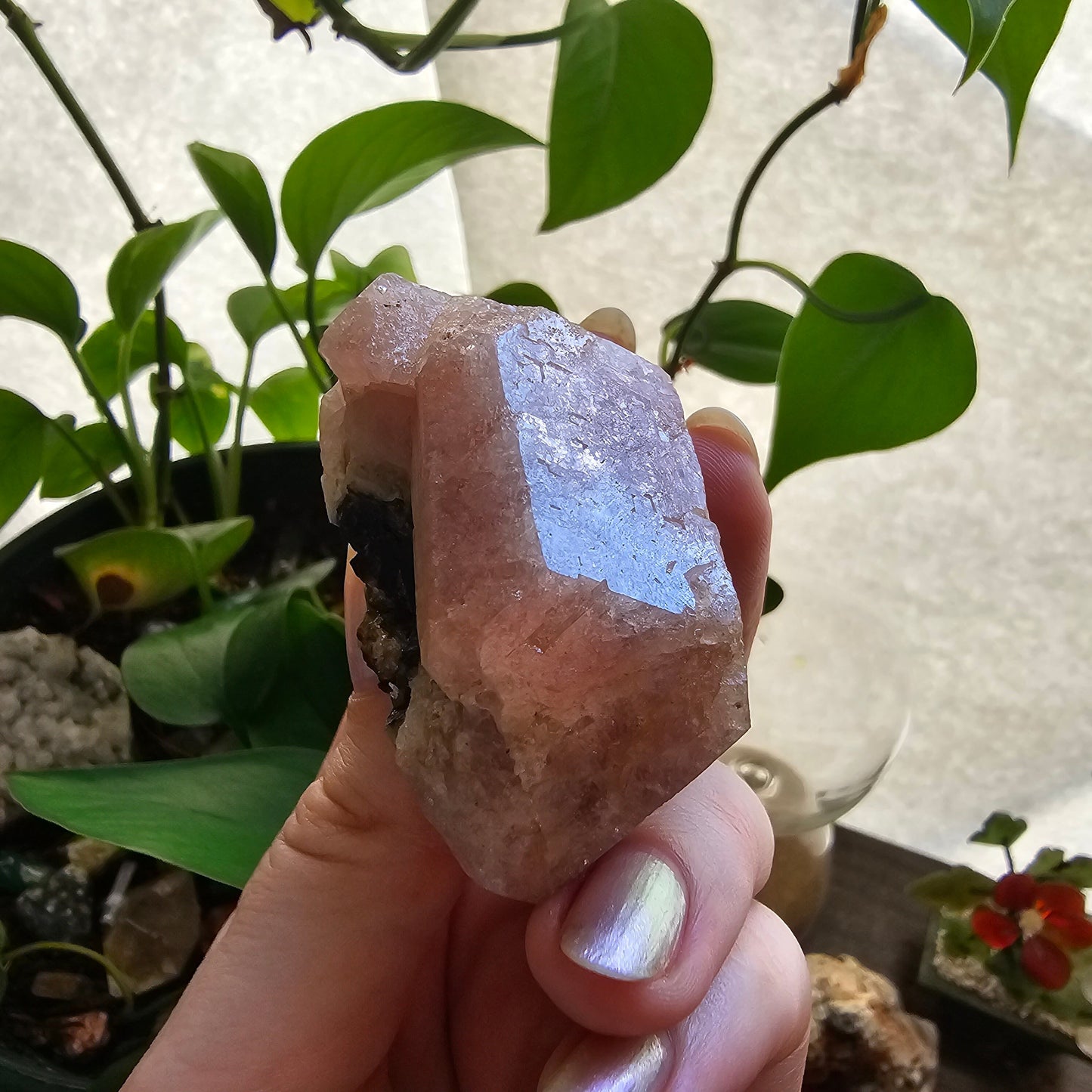 RESERVED for Michelle 158g Pink Garnet, XL Grossular Garnet, Bicolor, Rare Rough Stone, Collector Gem, Sierra de Cruces Mexico, Old Stock