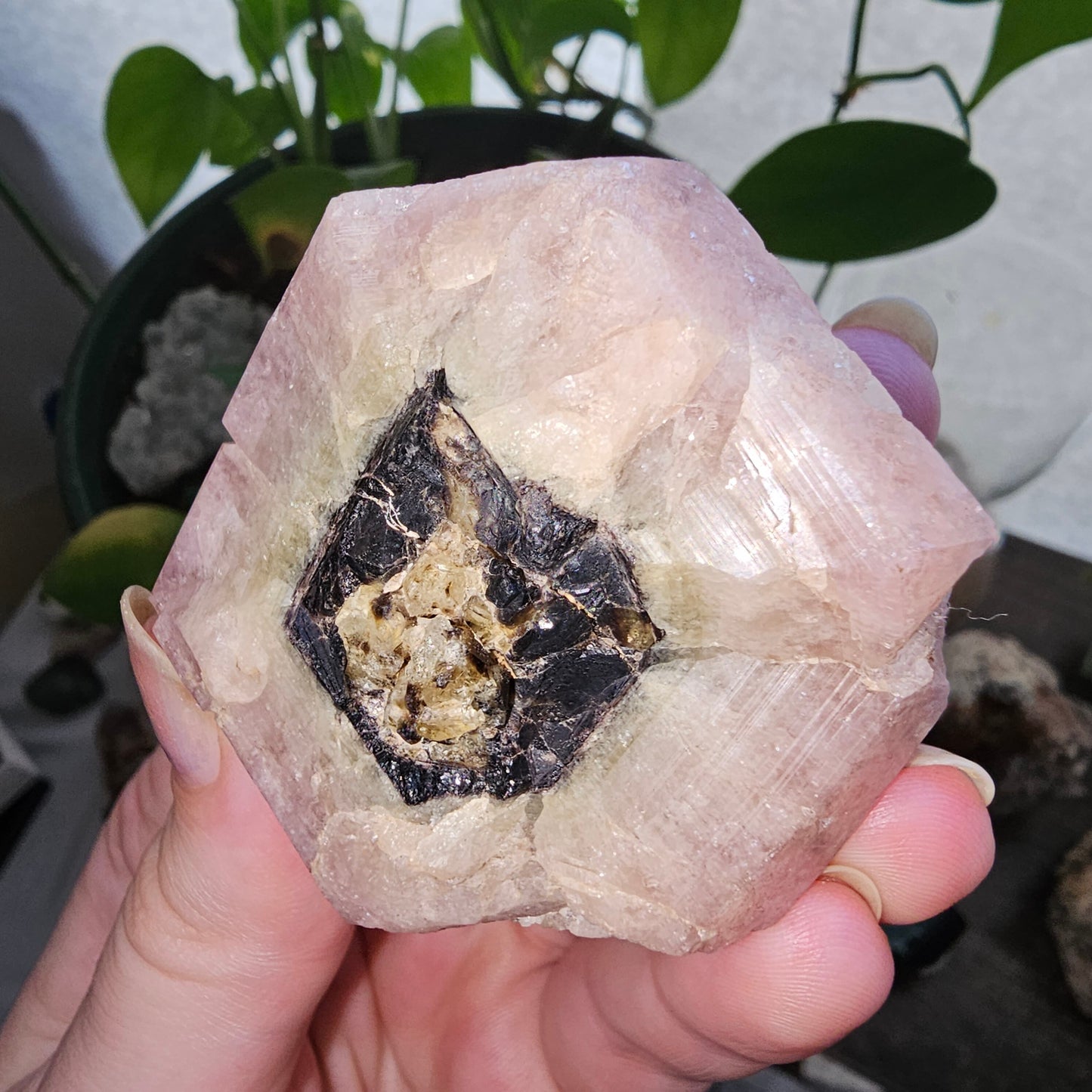 RESERVED for Michelle 158g Pink Garnet, XL Grossular Garnet, Bicolor, Rare Rough Stone, Collector Gem, Sierra de Cruces Mexico, Old Stock