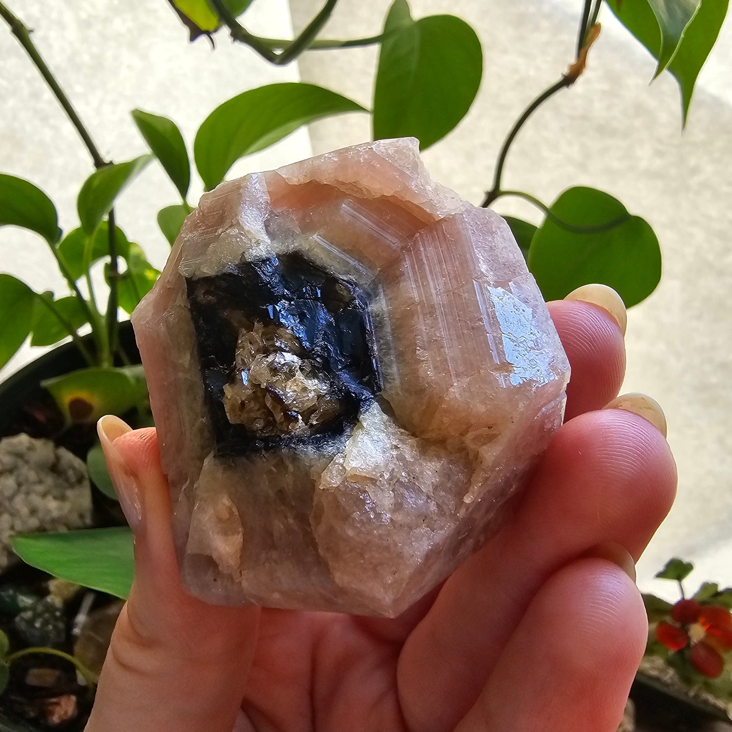 RESERVED for Michelle 158g Pink Garnet, XL Grossular Garnet, Bicolor, Rare Rough Stone, Collector Gem, Sierra de Cruces Mexico, Old Stock