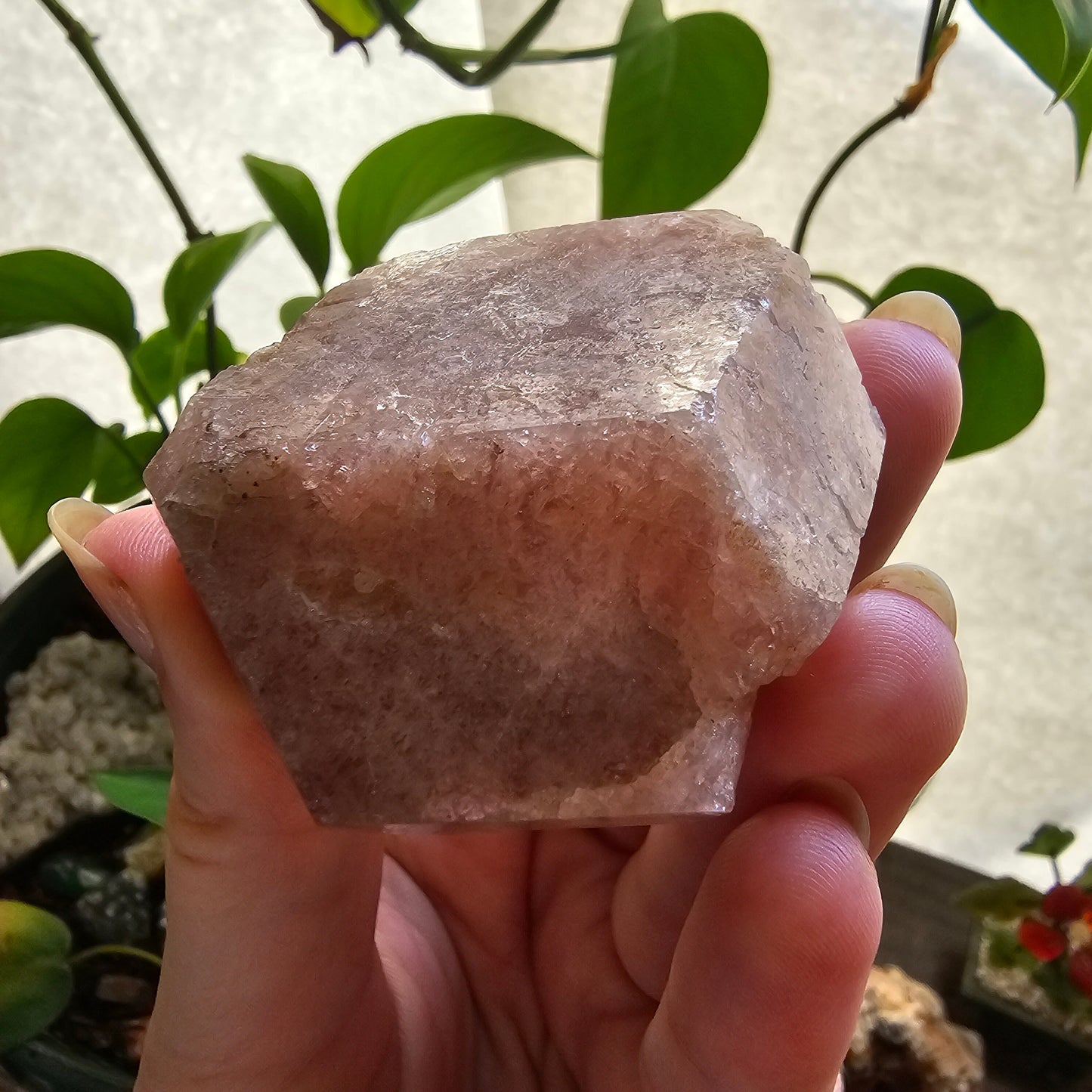 RESERVED for Michelle 158g Pink Garnet, XL Grossular Garnet, Bicolor, Rare Rough Stone, Collector Gem, Sierra de Cruces Mexico, Old Stock