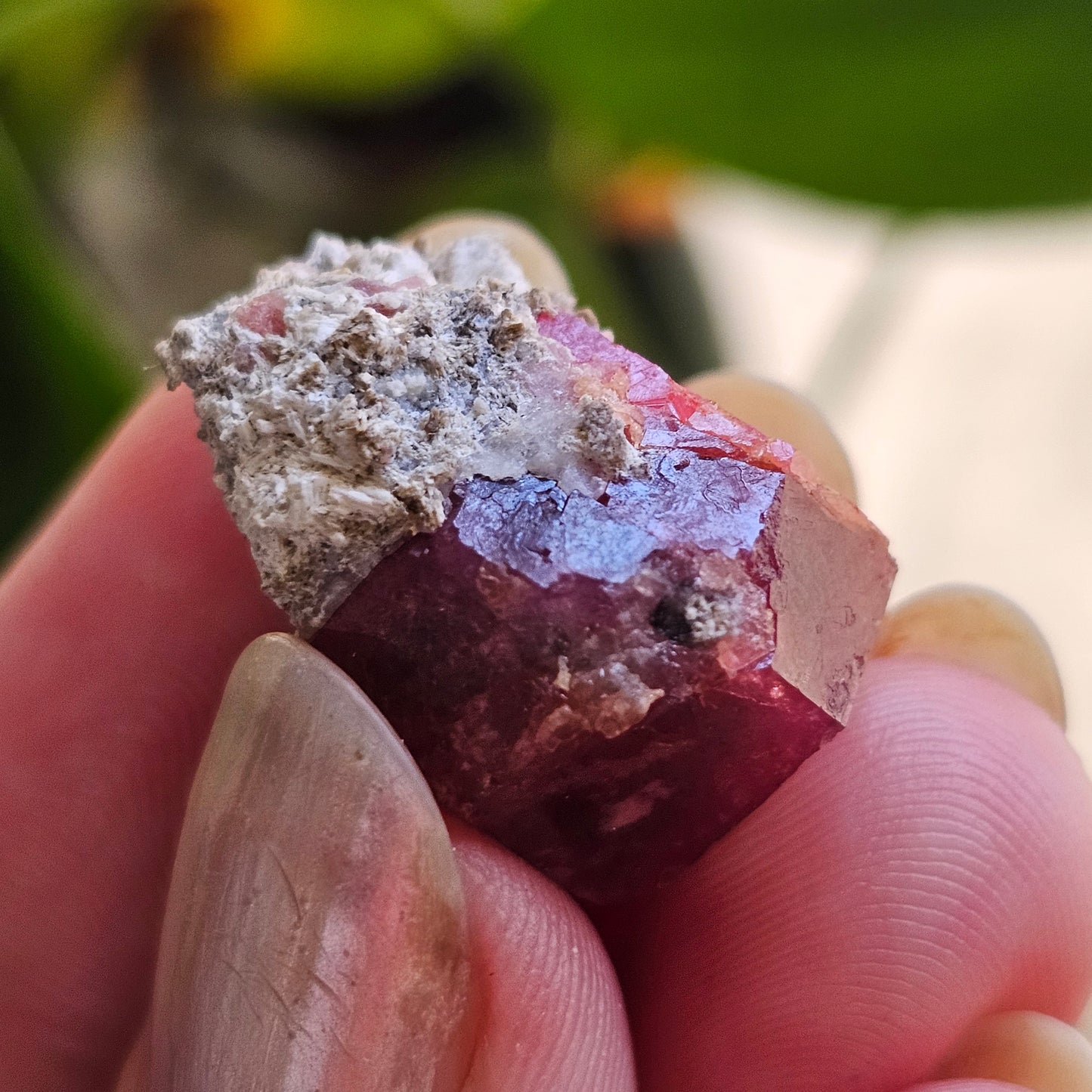 Raspberry Garnet on Matrix, Rare Raw Old Stock Mineral Specimen, Sierra de las Cruces Mexico, Local High End Rosalite, Deep Lustrous & Gemmy