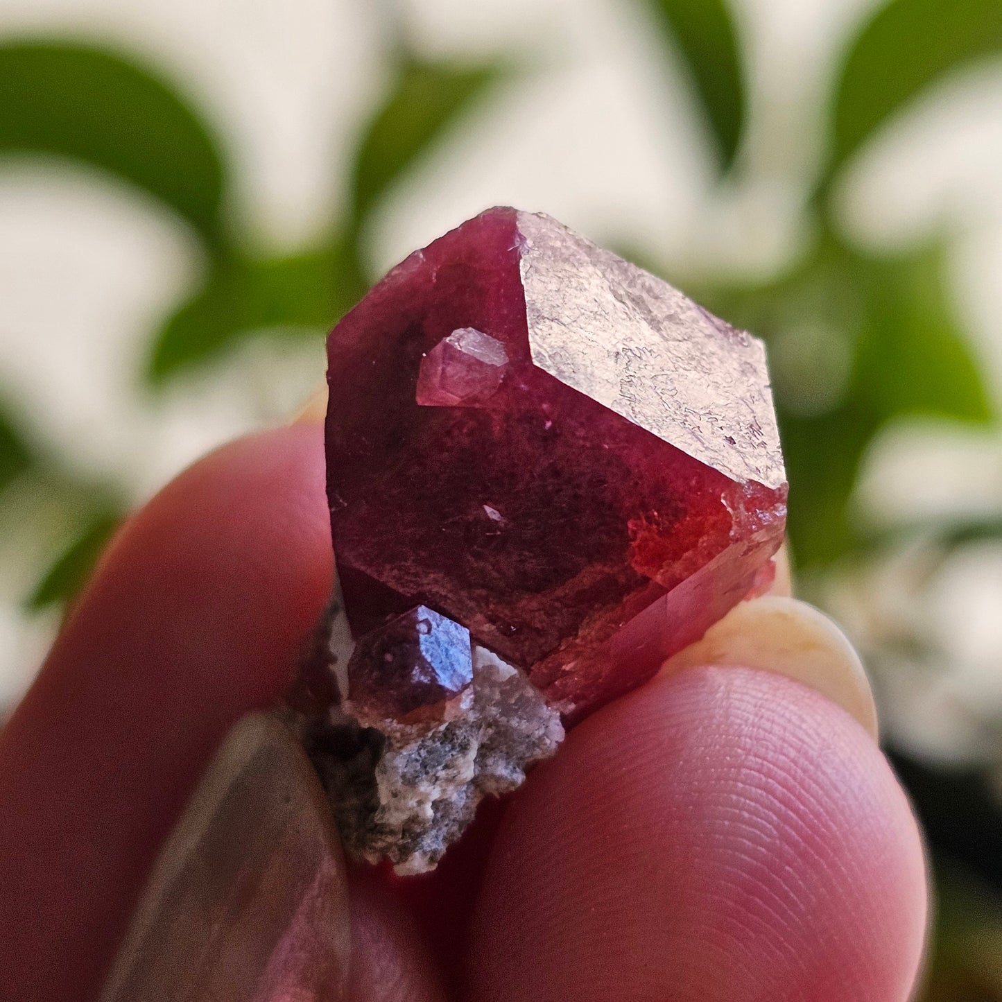 Raspberry Garnet on Matrix, Rare Raw Old Stock Mineral Specimen, Sierra de las Cruces Mexico, Local High End Rosalite, Deep Lustrous & Gemmy